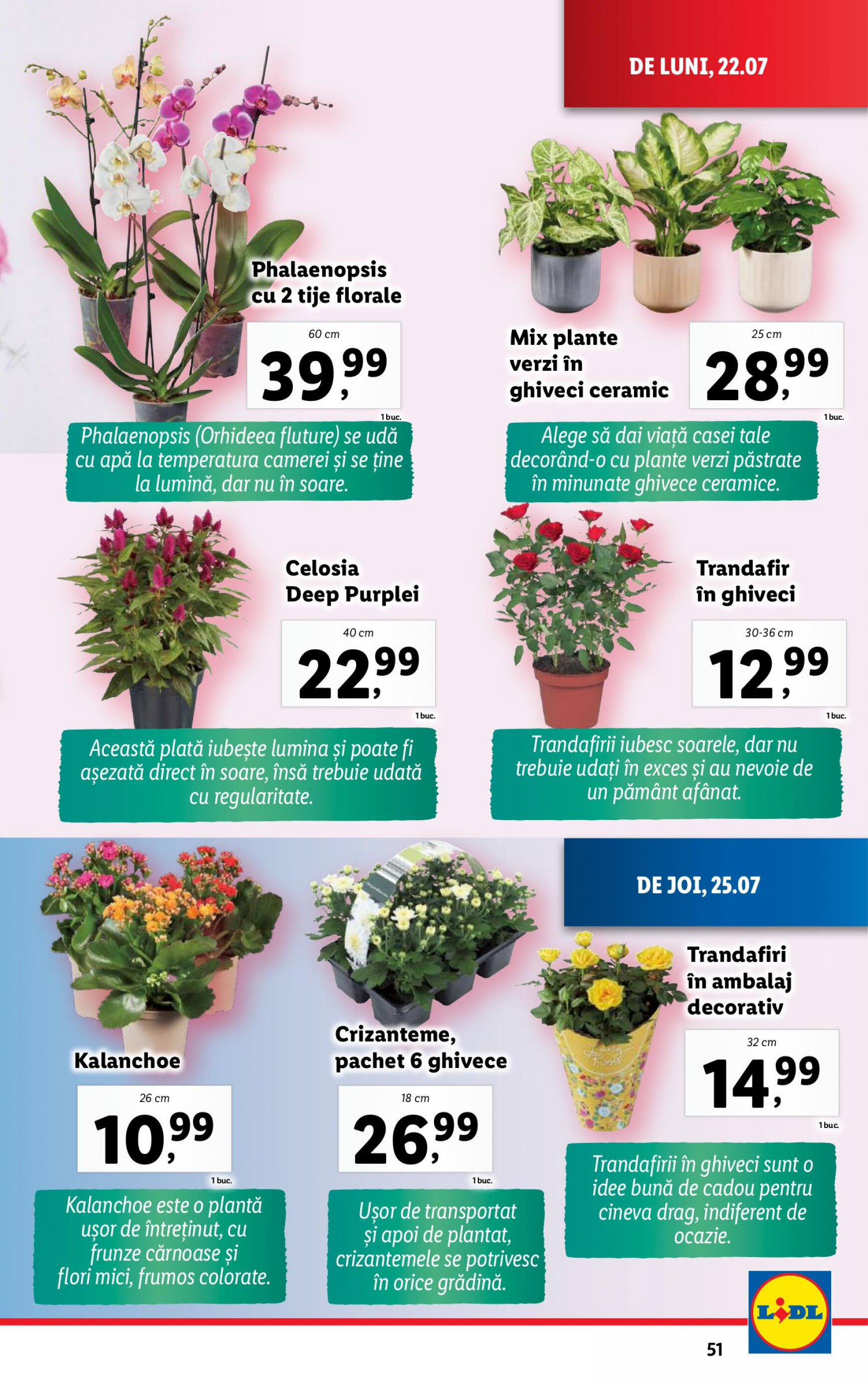 lidl - Catalog nou Lidl 22.07. - 28.07. - page: 51