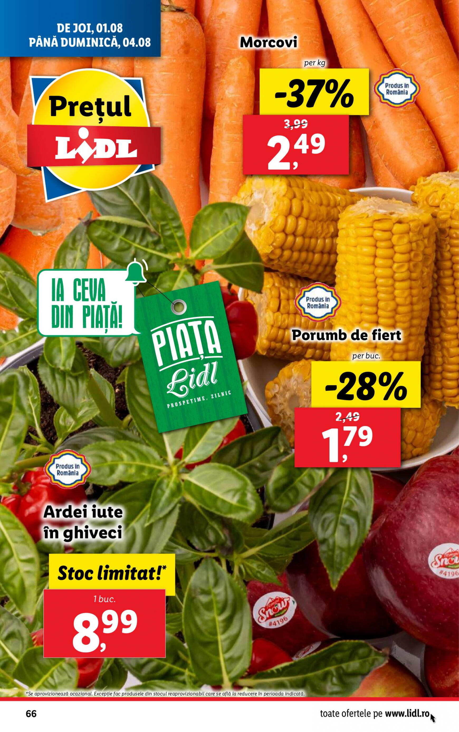 lidl - Catalog nou Lidl 29.07. - 04.08. - page: 66