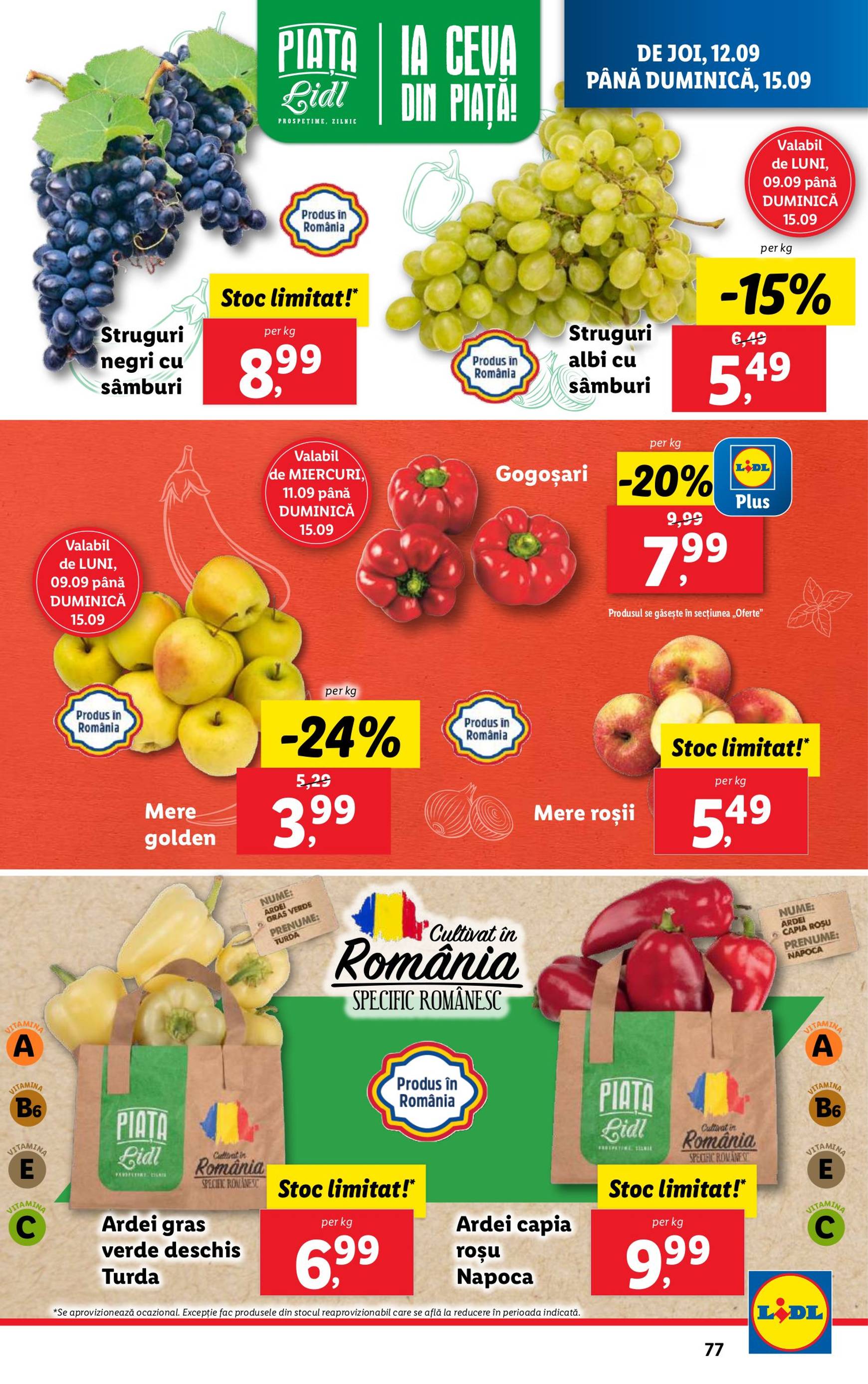 lidl - Catalog nou Lidl 09.09. - 15.09. - page: 77