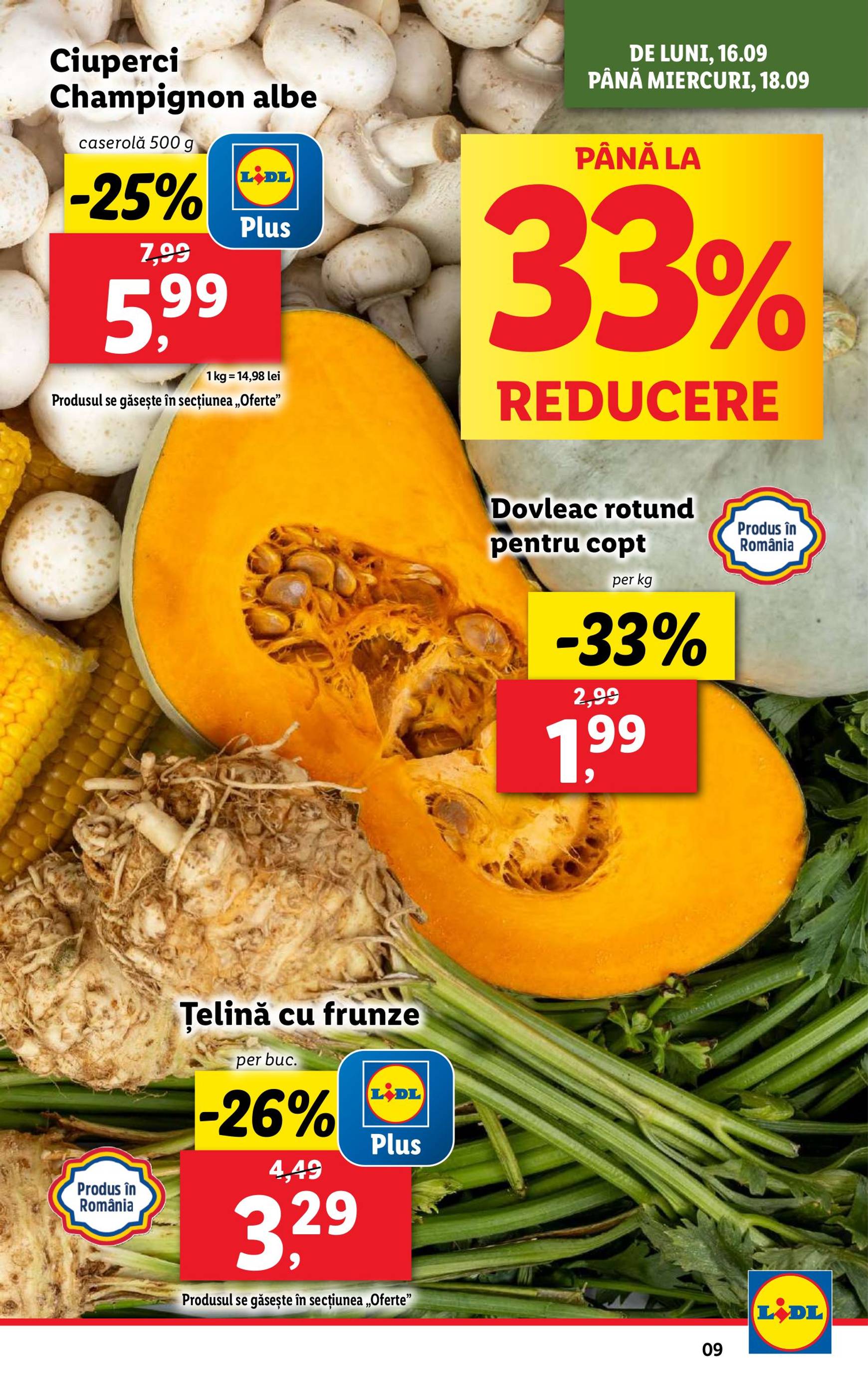 lidl - Catalog nou Lidl 16.09. - 22.09. - page: 9