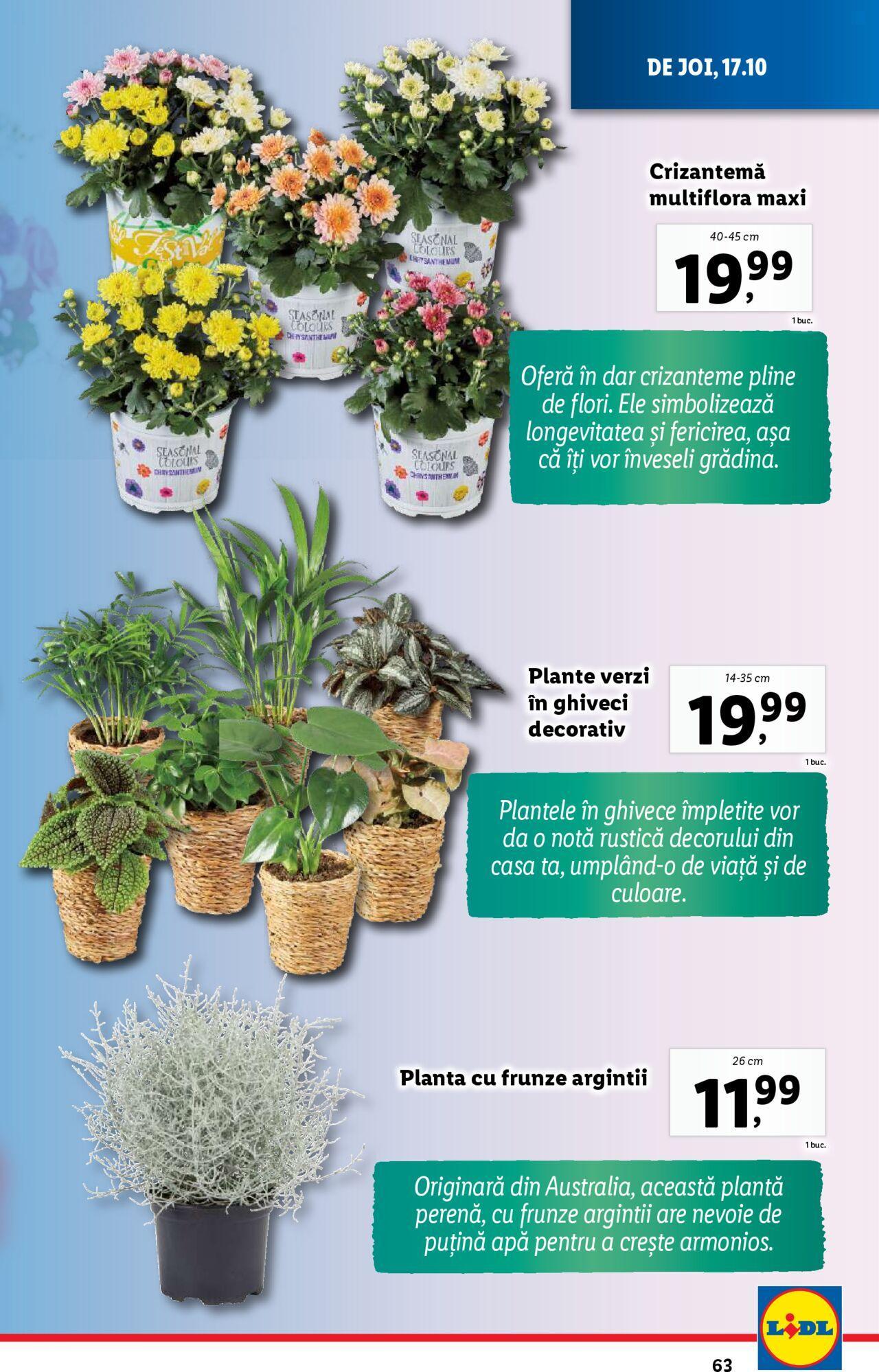 lidl - Catalog LIDL 14.10.2024 - 20.10.2024 - page: 63