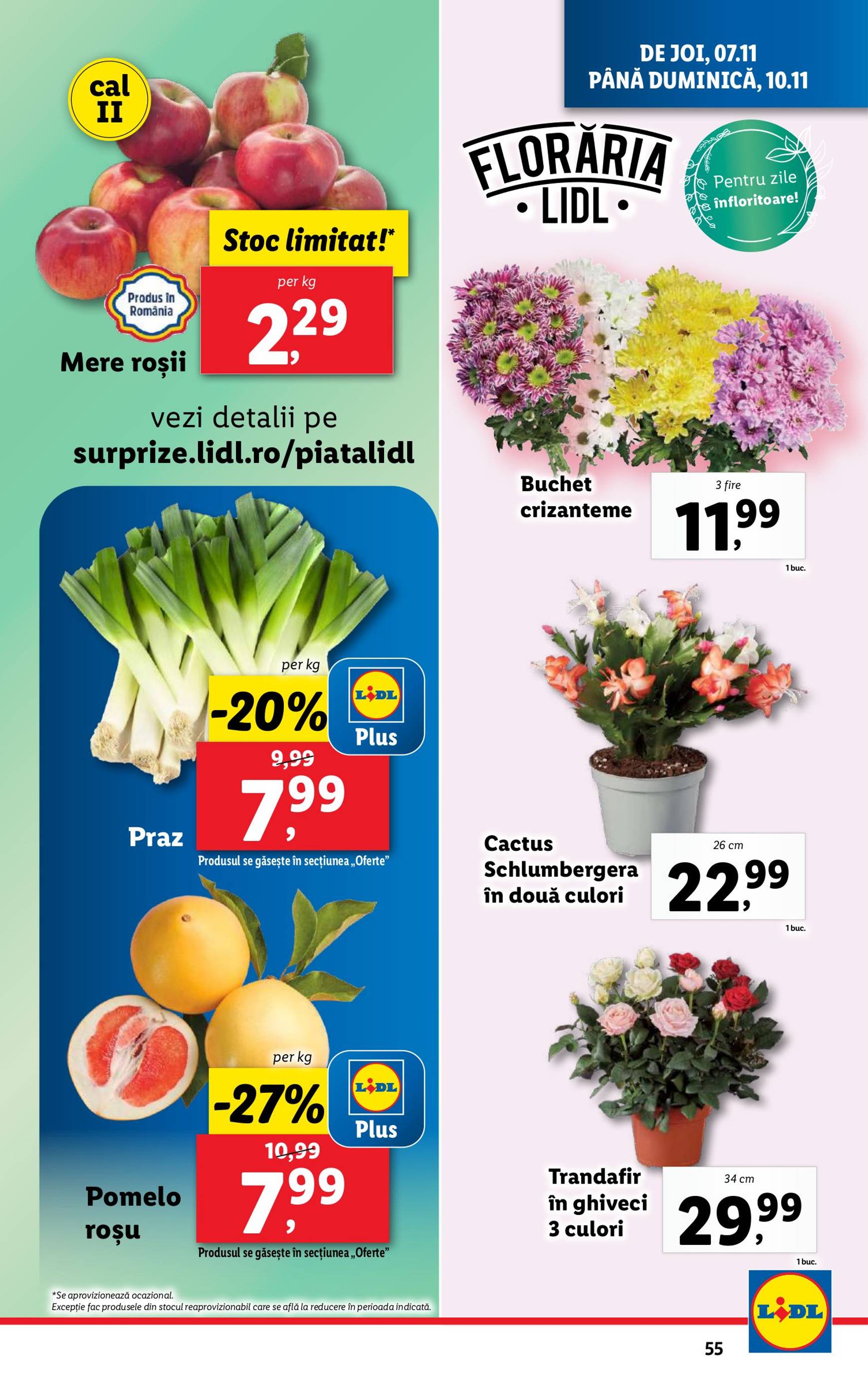 lidl - Catalog Lidl valabil din 04.11. - 10.11. - page: 55