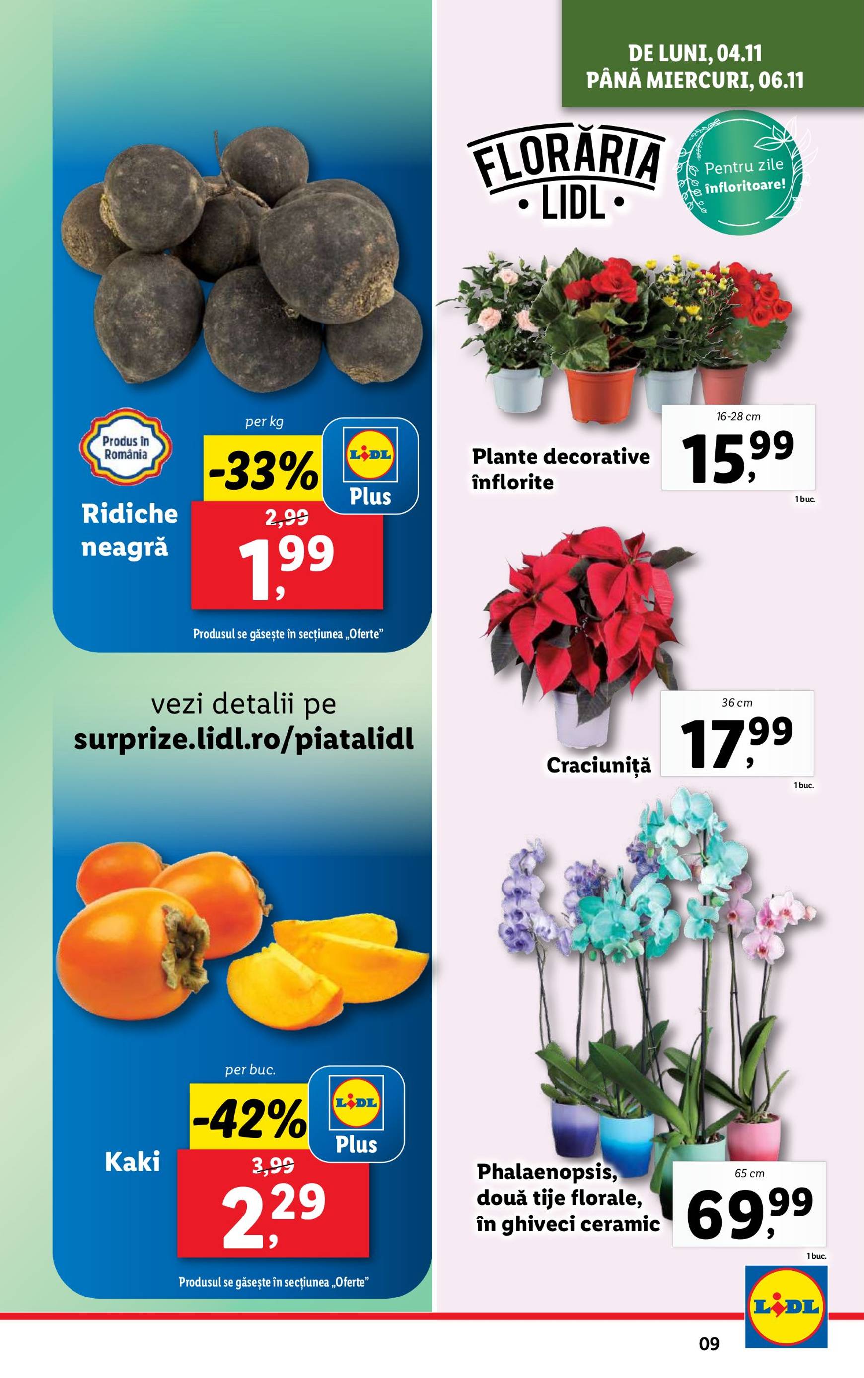 lidl - Catalog Lidl valabil din 04.11. - 10.11. - page: 9