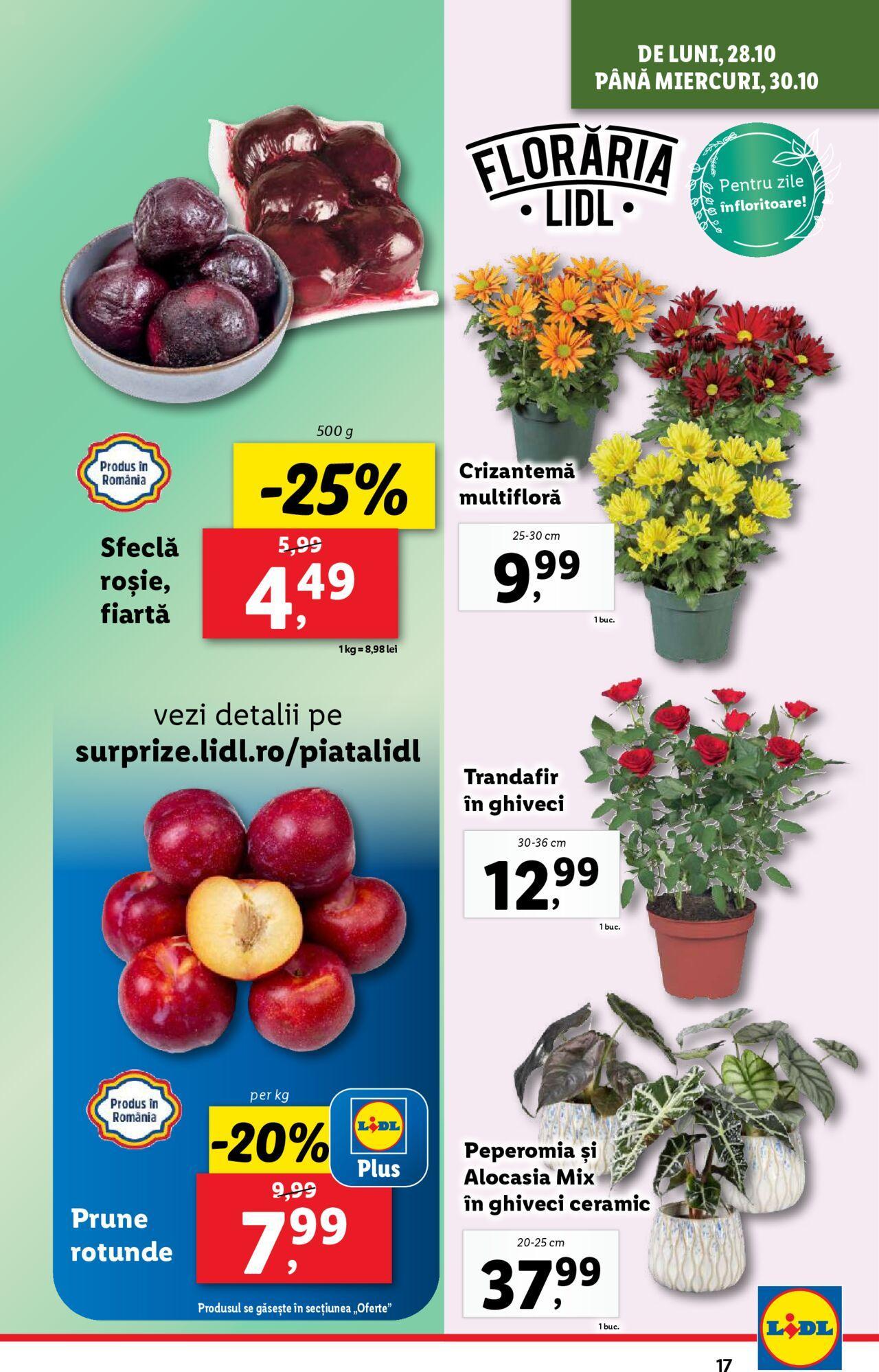 lidl - Catalog LIDL 28.10.2024 - 03.11.2024 - page: 17