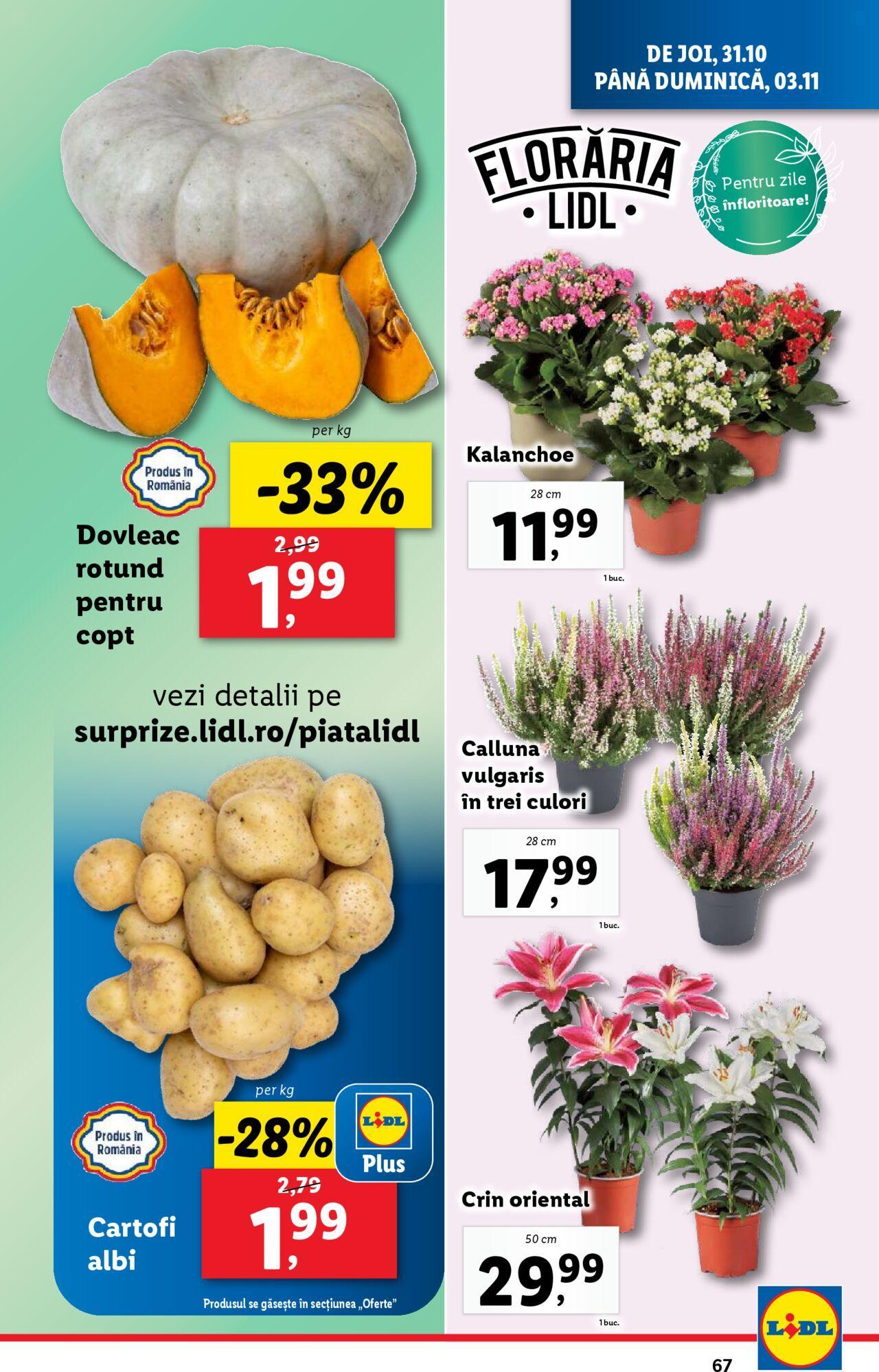 lidl - Catalog LIDL 28.10.2024 - 03.11.2024 - page: 67