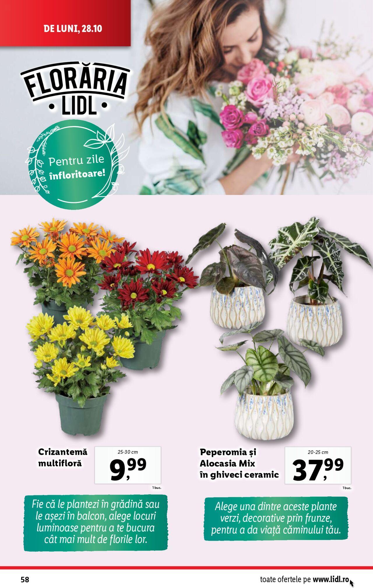 lidl - Catalog LIDL 28.10.2024 - 03.11.2024 - page: 58