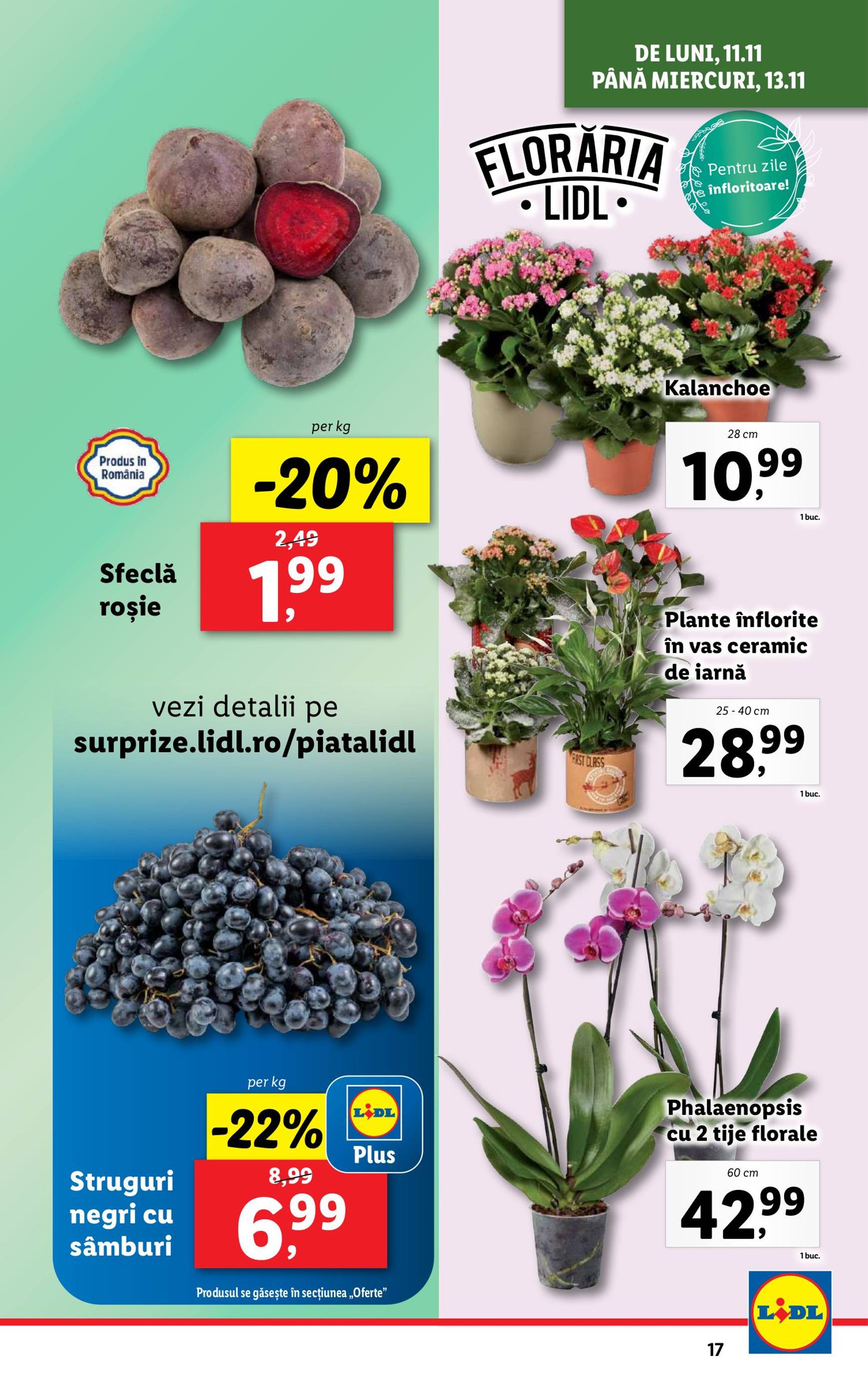 lidl - Catalog Lidl valabil din 11.11. - 17.11. - page: 17