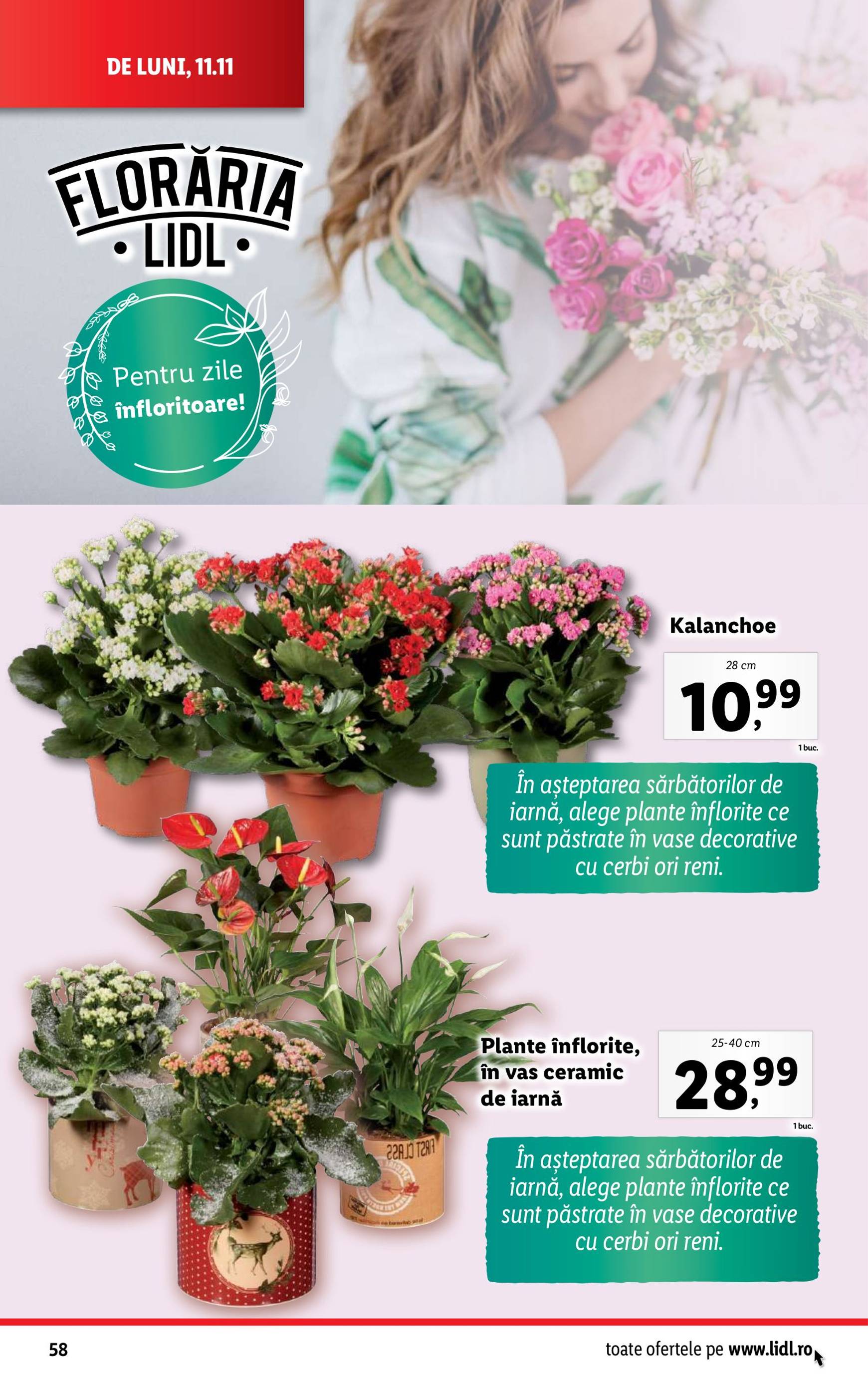 lidl - Catalog Lidl valabil din 11.11. - 17.11. - page: 58