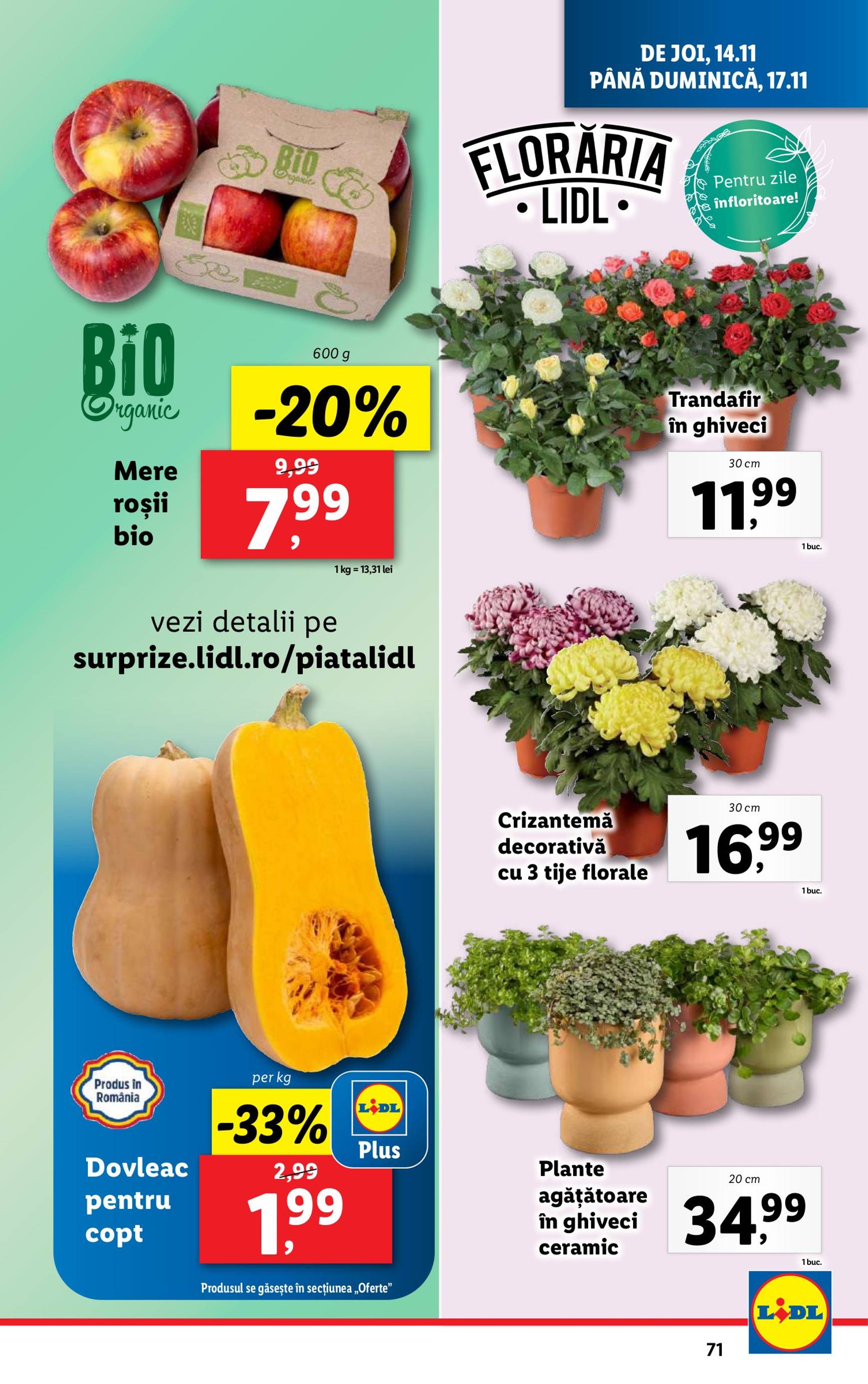 lidl - Catalog Lidl valabil din 11.11. - 17.11. - page: 71