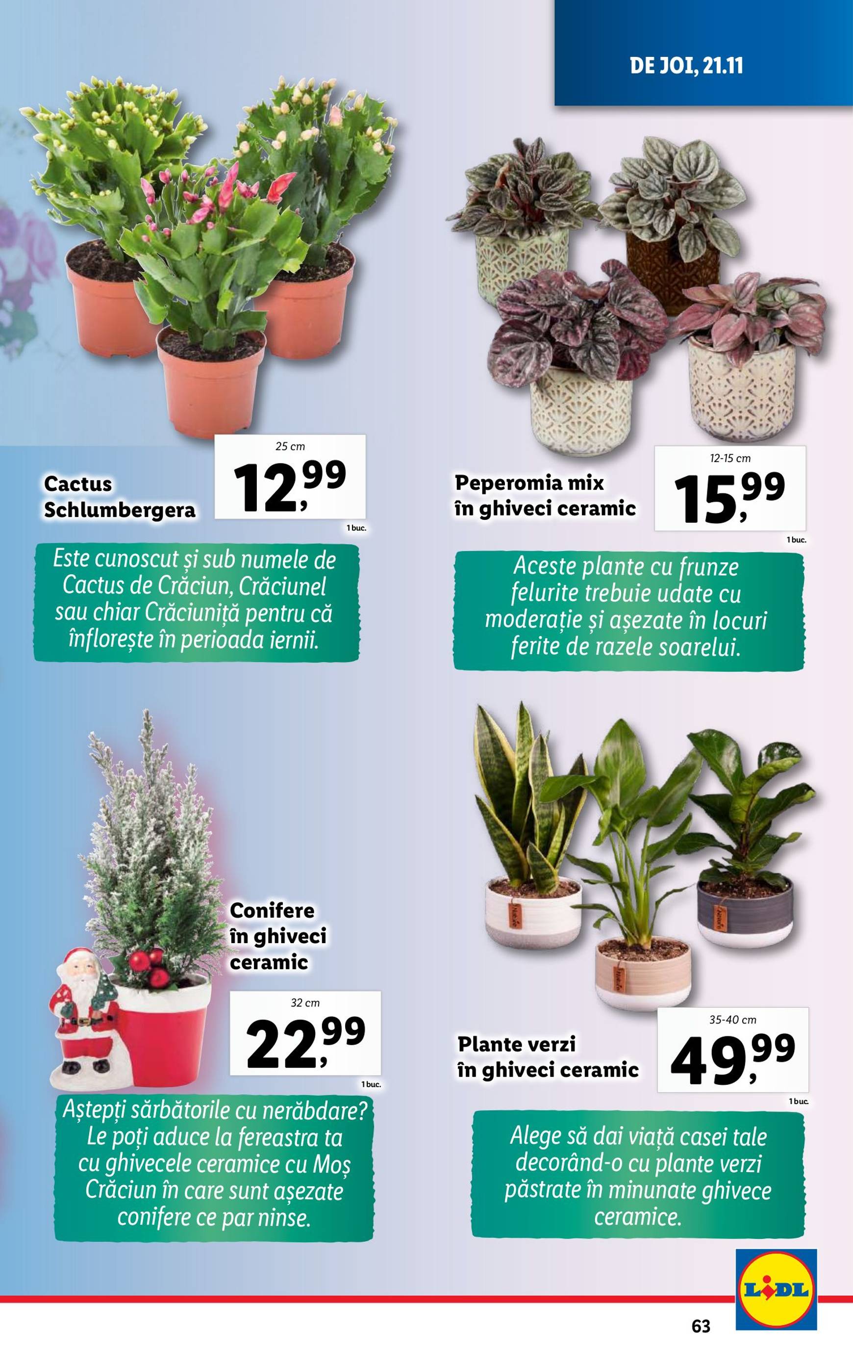 lidl - Catalog Lidl valabil din 18.11. - 24.11. - page: 63