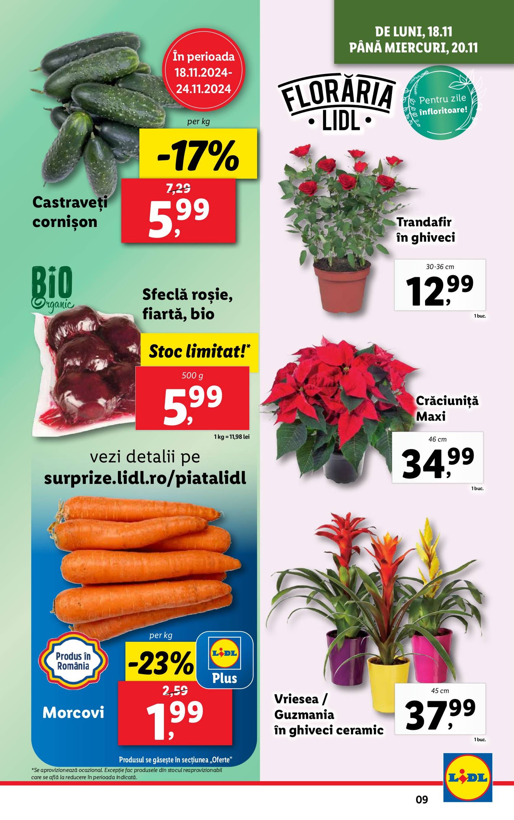 lidl - Catalog Lidl valabil din 18.11. - 24.11. - page: 9