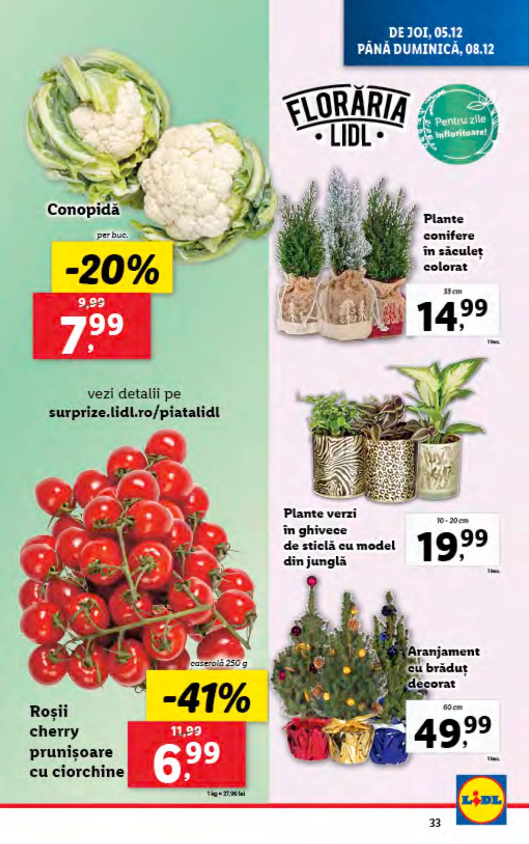 lidl - Catalog Lidl valabil din 02.12. - 08.12. - page: 33