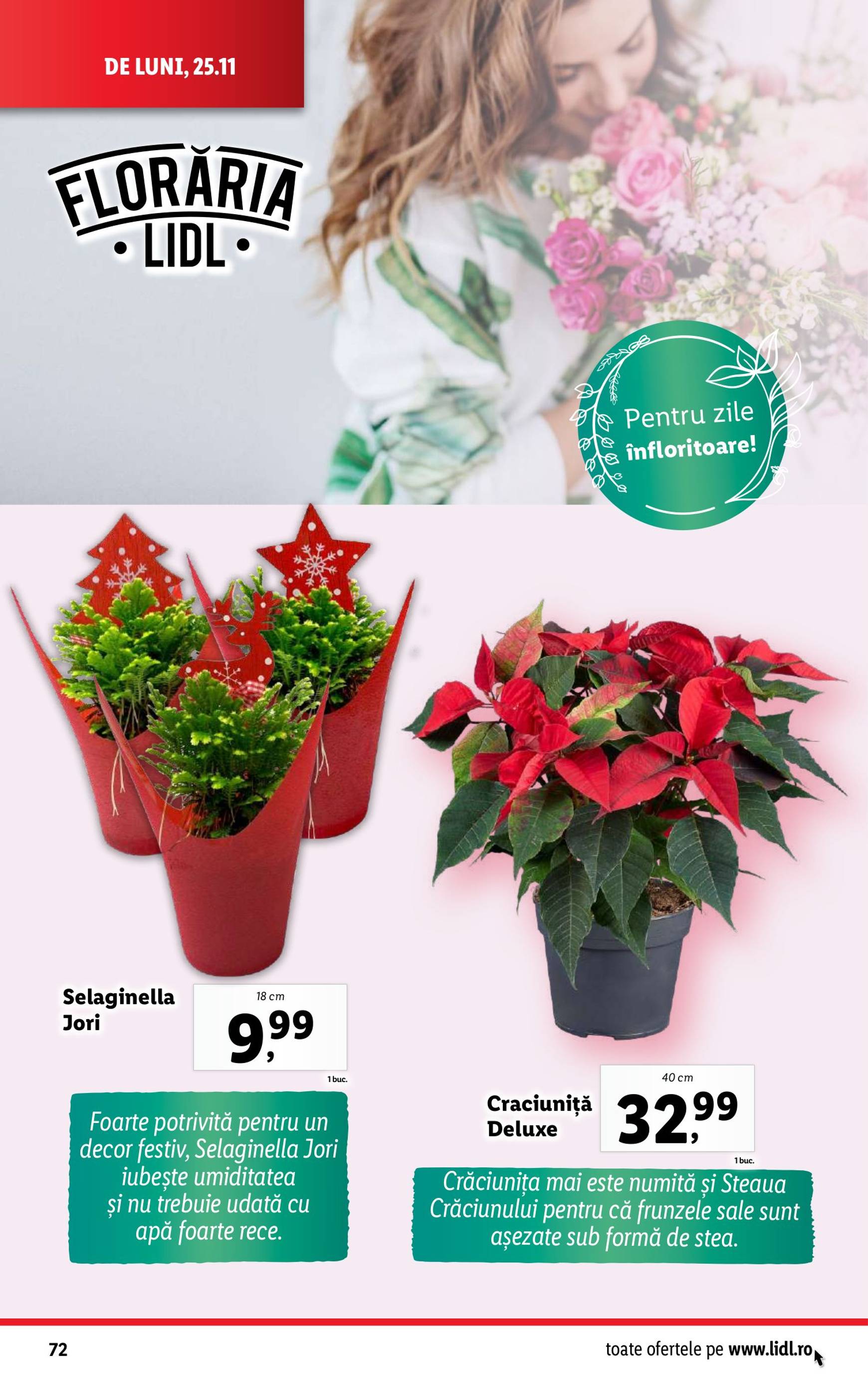 lidl - Catalog Lidl valabil din 25.11. - 01.12. - page: 72