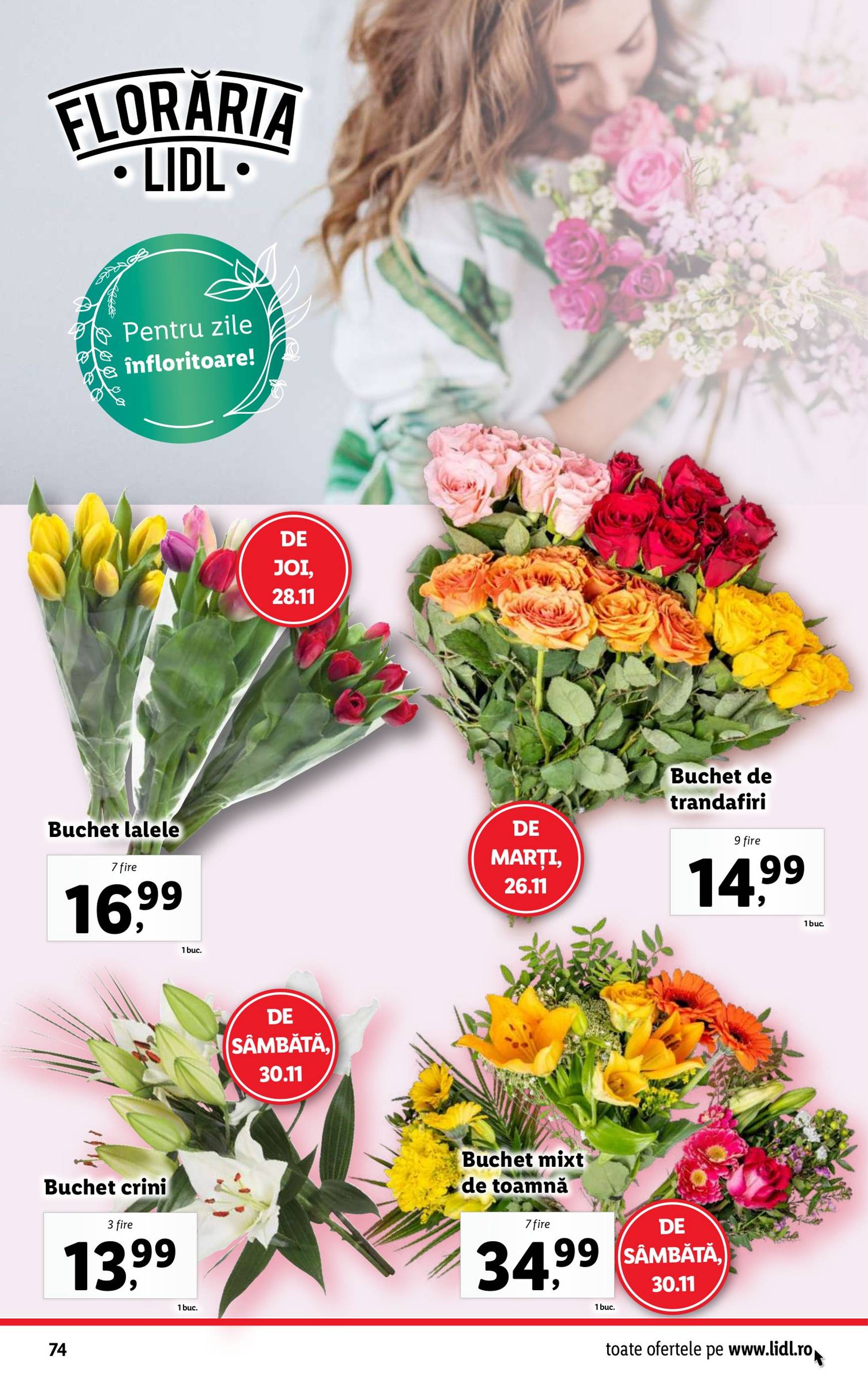 lidl - Catalog Lidl valabil din 25.11. - 01.12. - page: 74