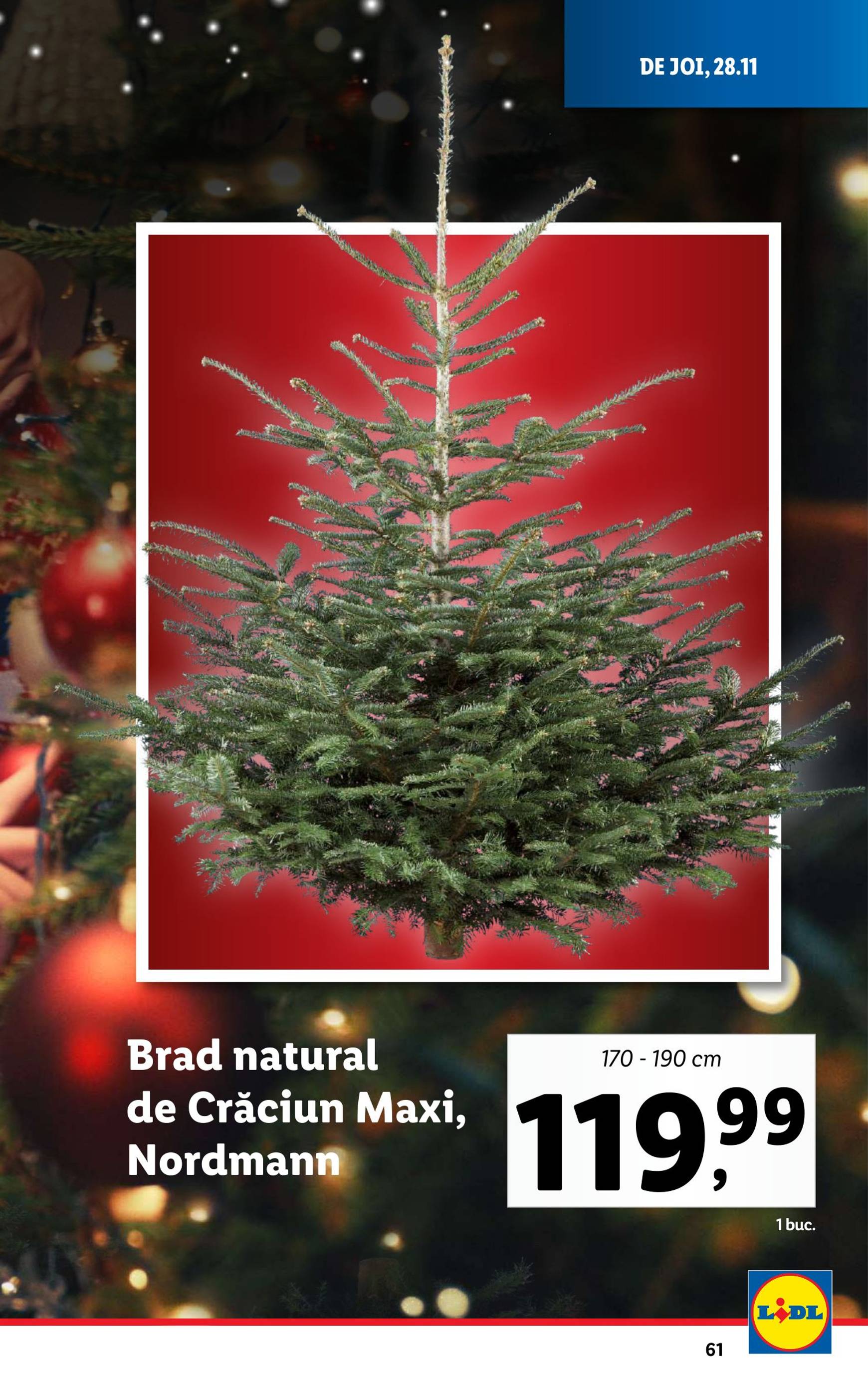 lidl - Catalog Lidl valabil din 25.11. - 01.12. - page: 61