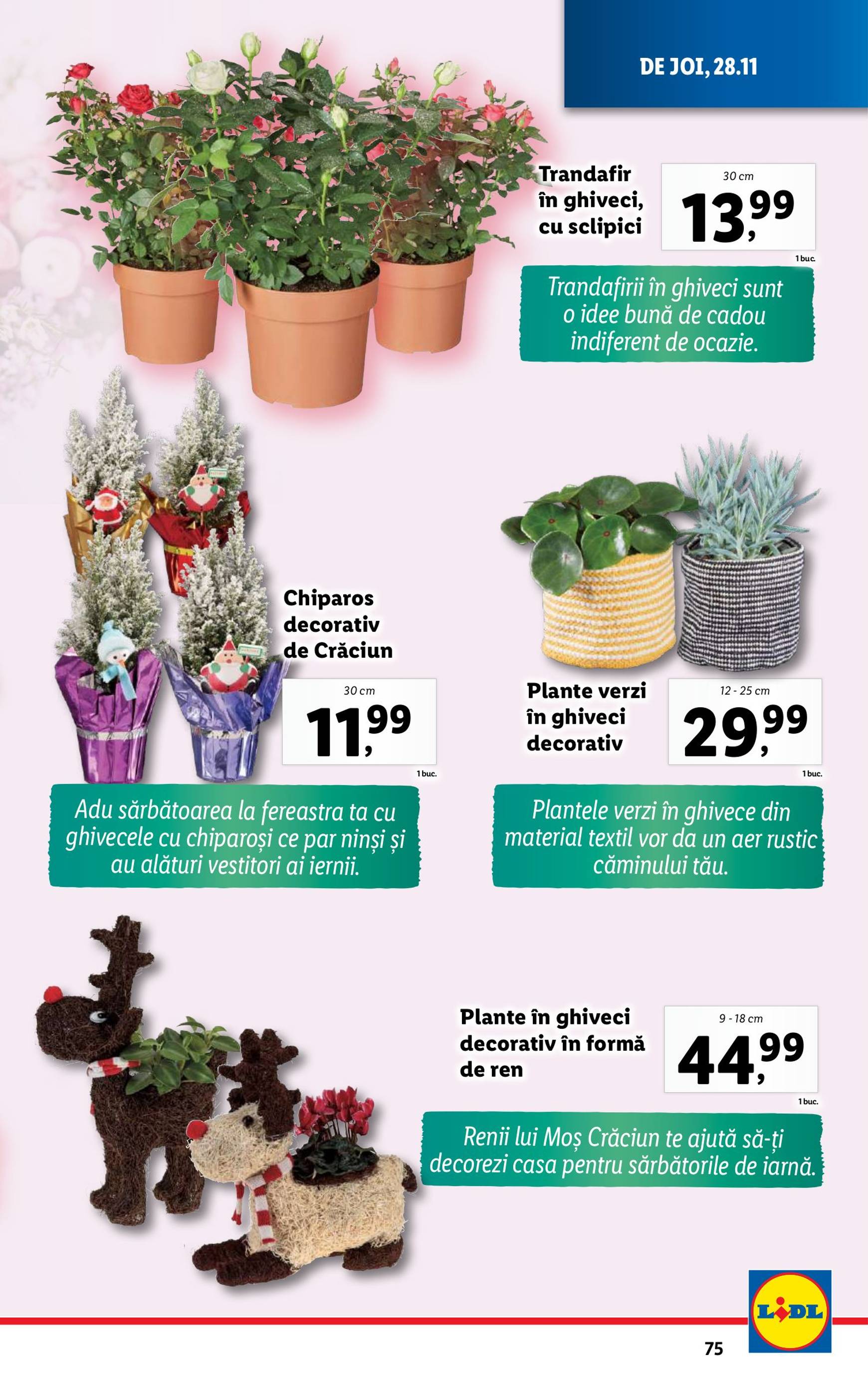 lidl - Catalog Lidl valabil din 25.11. - 01.12. - page: 75