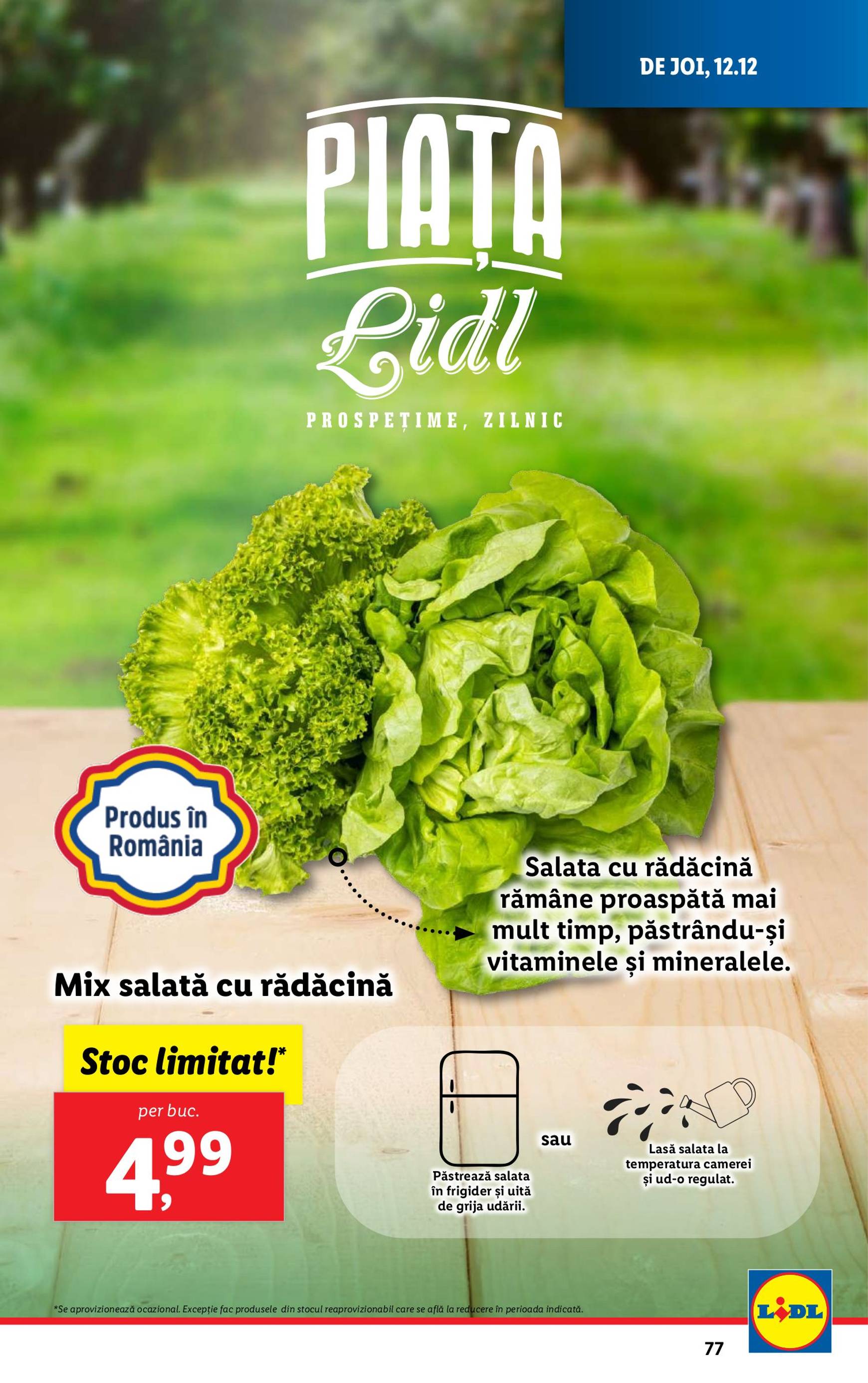 lidl - Catalog Lidl valabil din 09.12. - 15.12. - page: 77