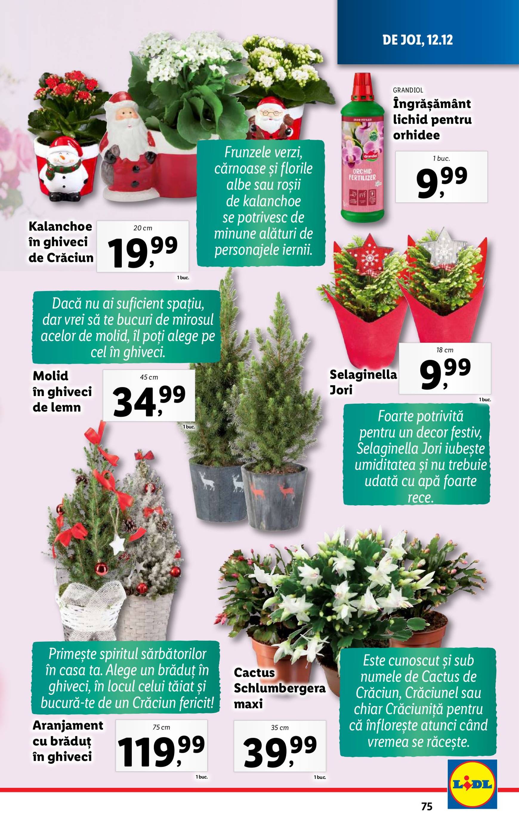 lidl - Catalog Lidl valabil din 09.12. - 15.12. - page: 75