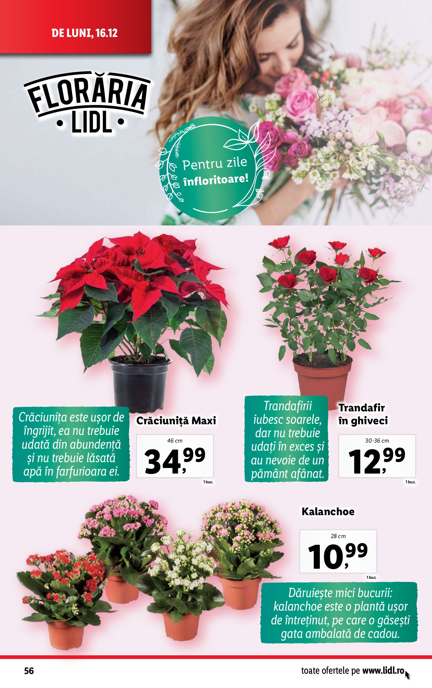 lidl - Catalog Lidl valabil din 16.12. - 24.12. - page: 56