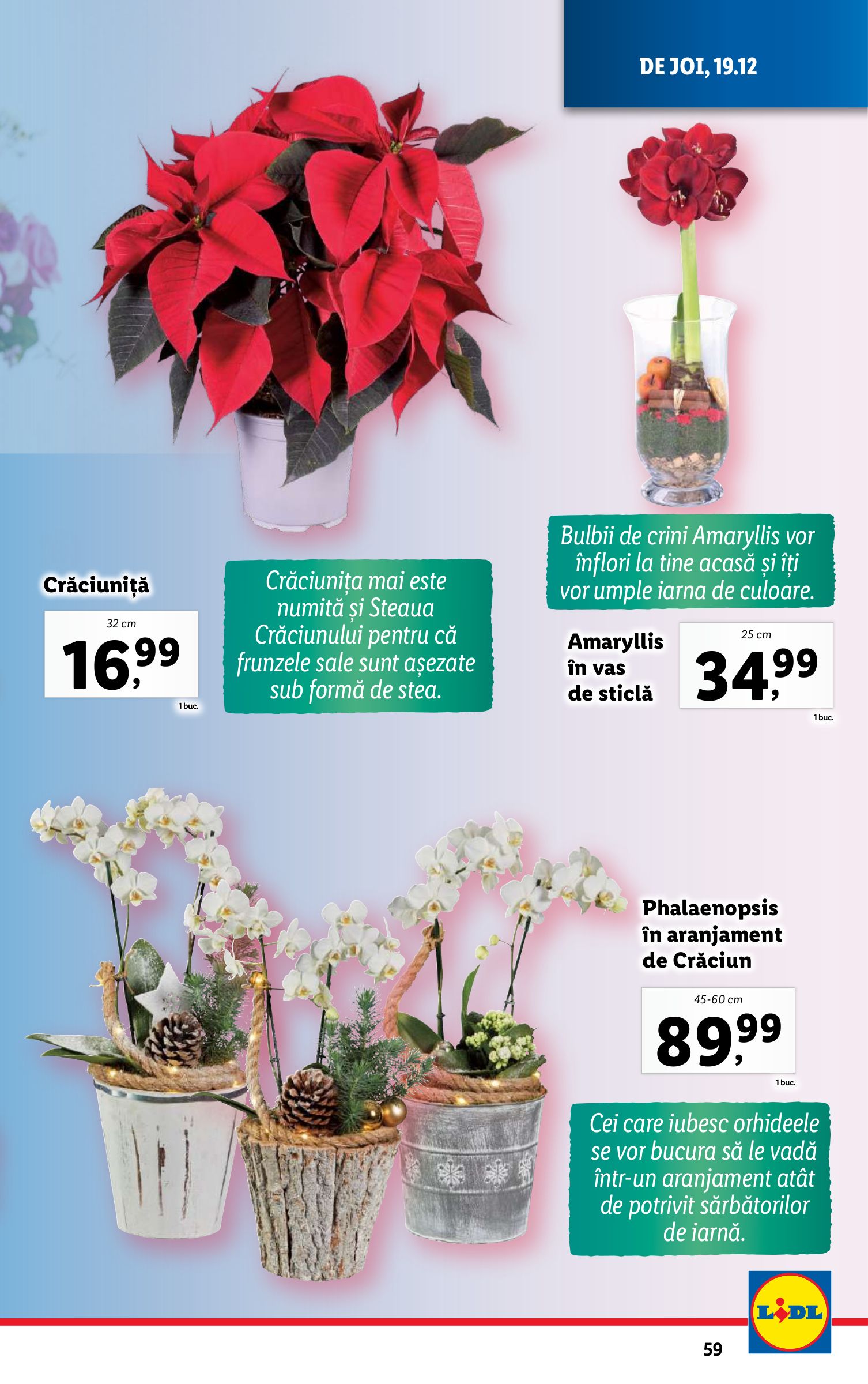 lidl - Catalog Lidl valabil din 16.12. - 24.12. - page: 59