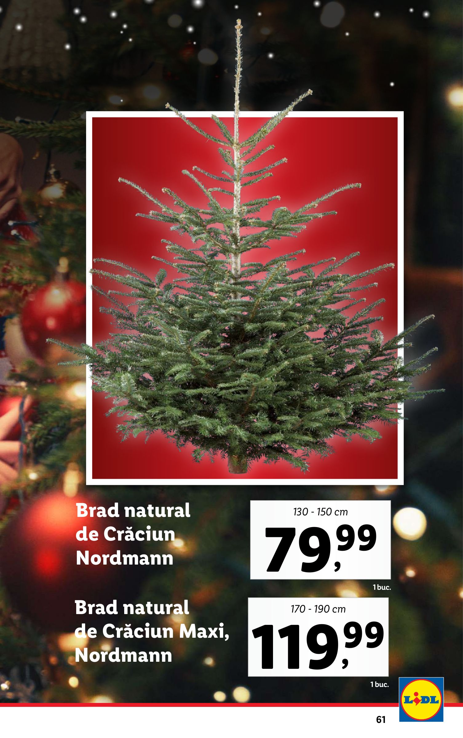 lidl - Catalog Lidl valabil din 16.12. - 24.12. - page: 61