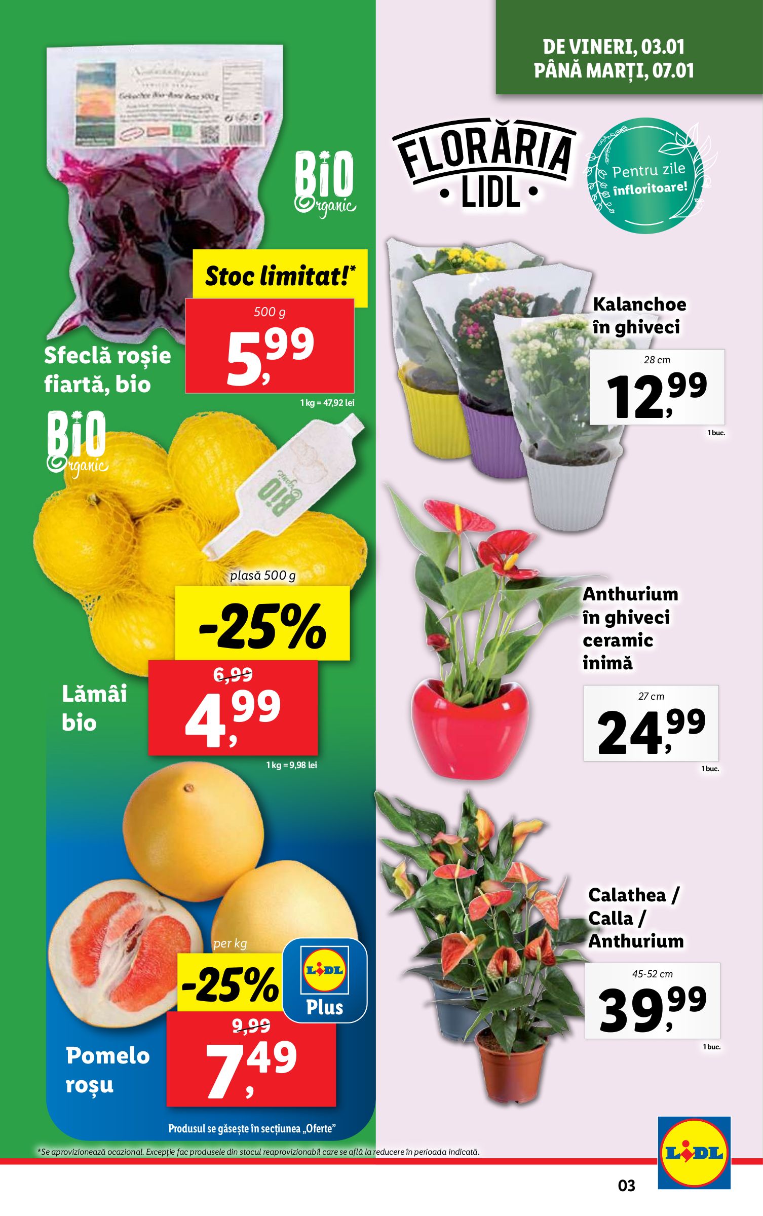 lidl - Catalog Lidl valabil din 02.01. - 05.01. - page: 3