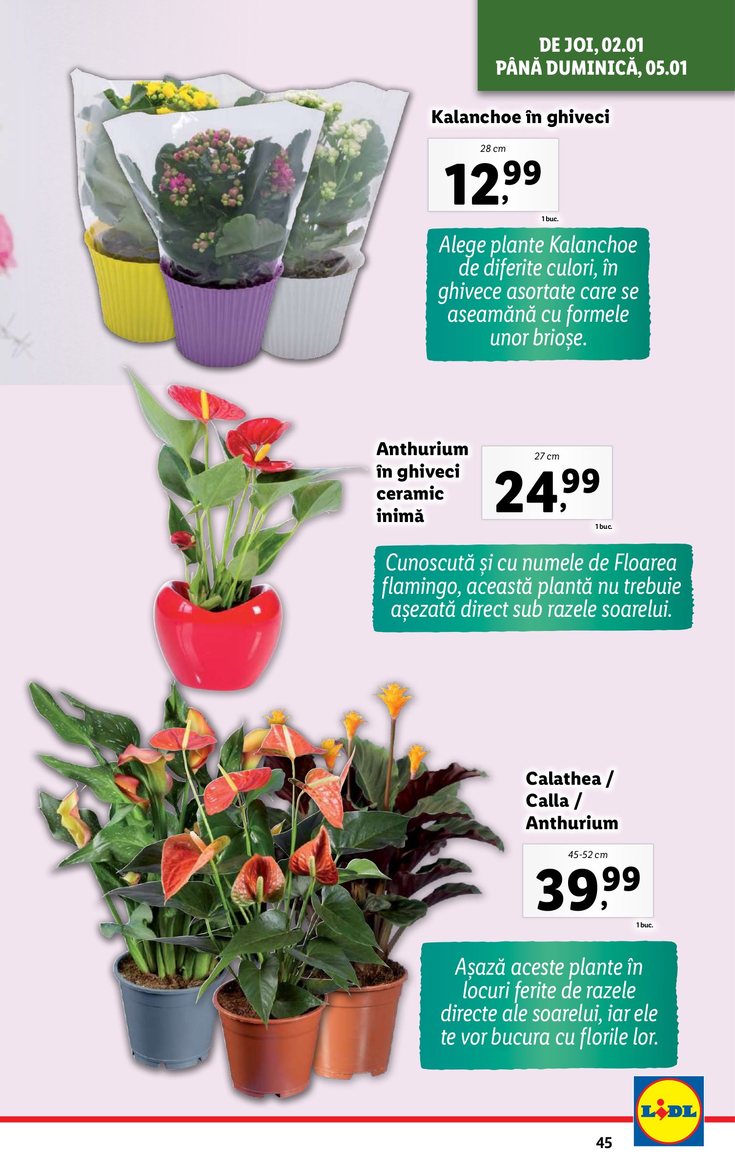 lidl - Catalog Lidl valabil din 02.01. - 05.01. - page: 45