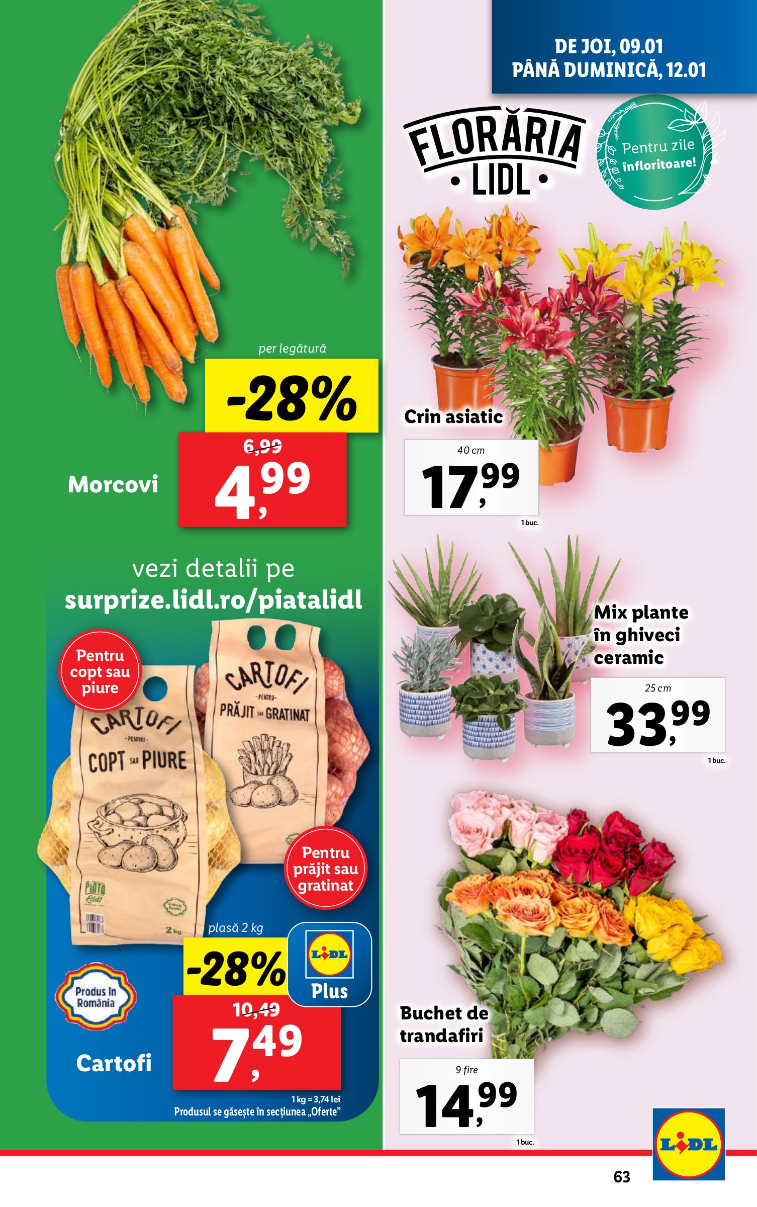 lidl - Catalog Lidl valabil din 06.01. - 12.01. - page: 63