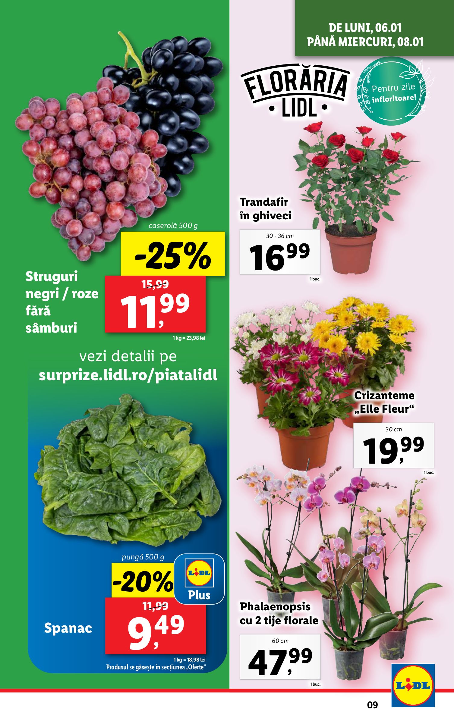 lidl - Catalog Lidl valabil din 06.01. - 12.01. - page: 9