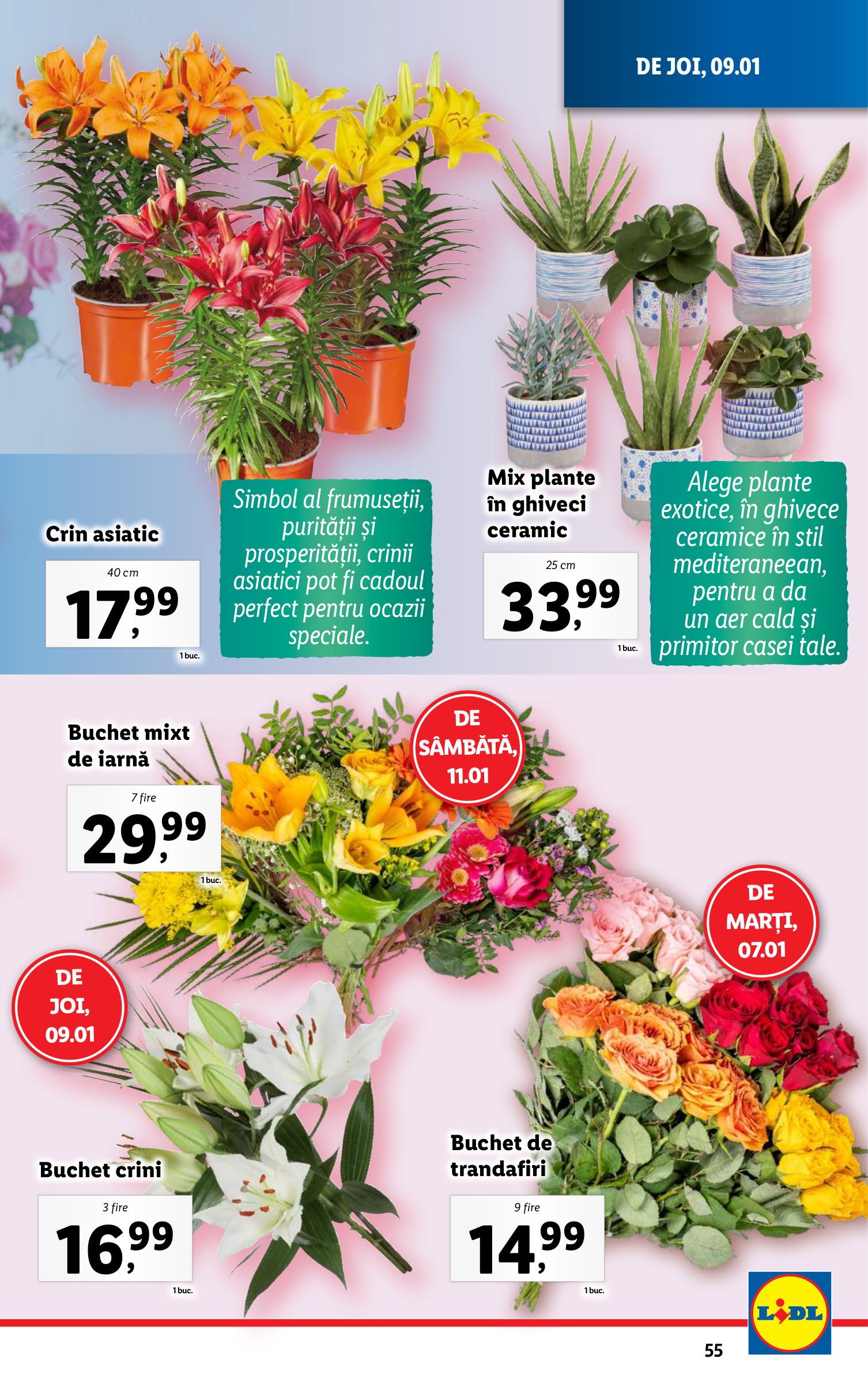 lidl - Catalog Lidl valabil din 06.01. - 12.01. - page: 55