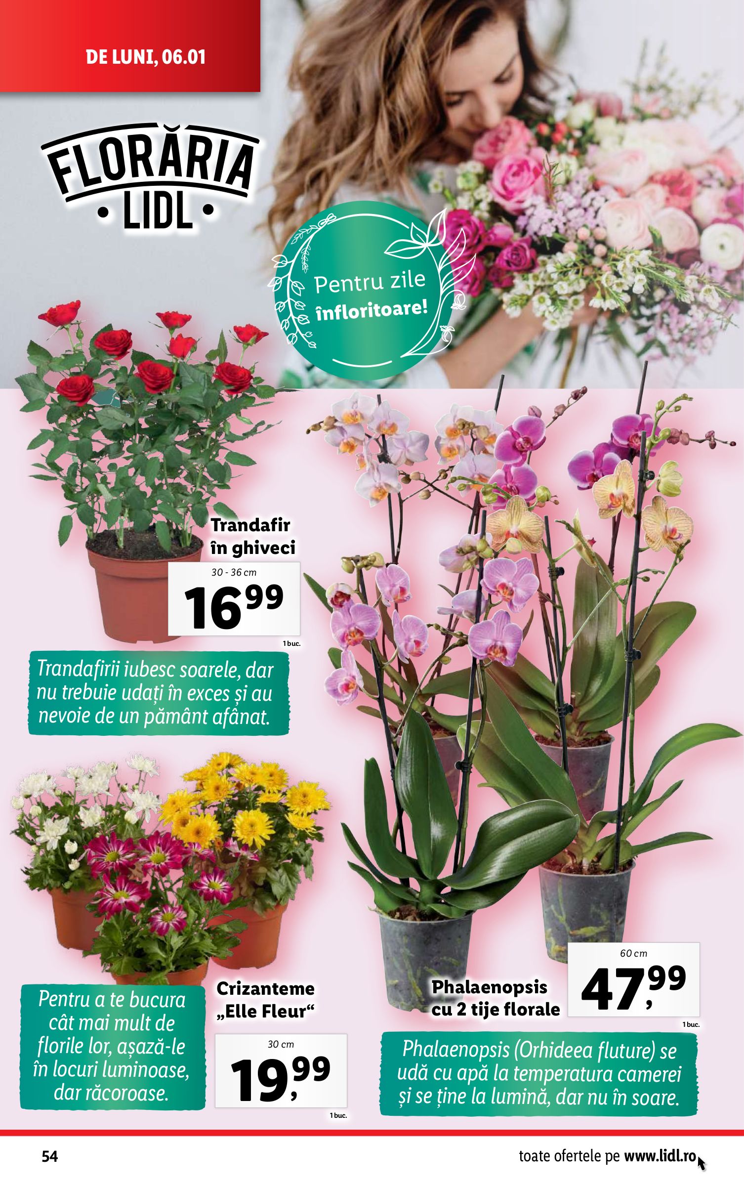 lidl - Catalog Lidl valabil din 06.01. - 12.01. - page: 54