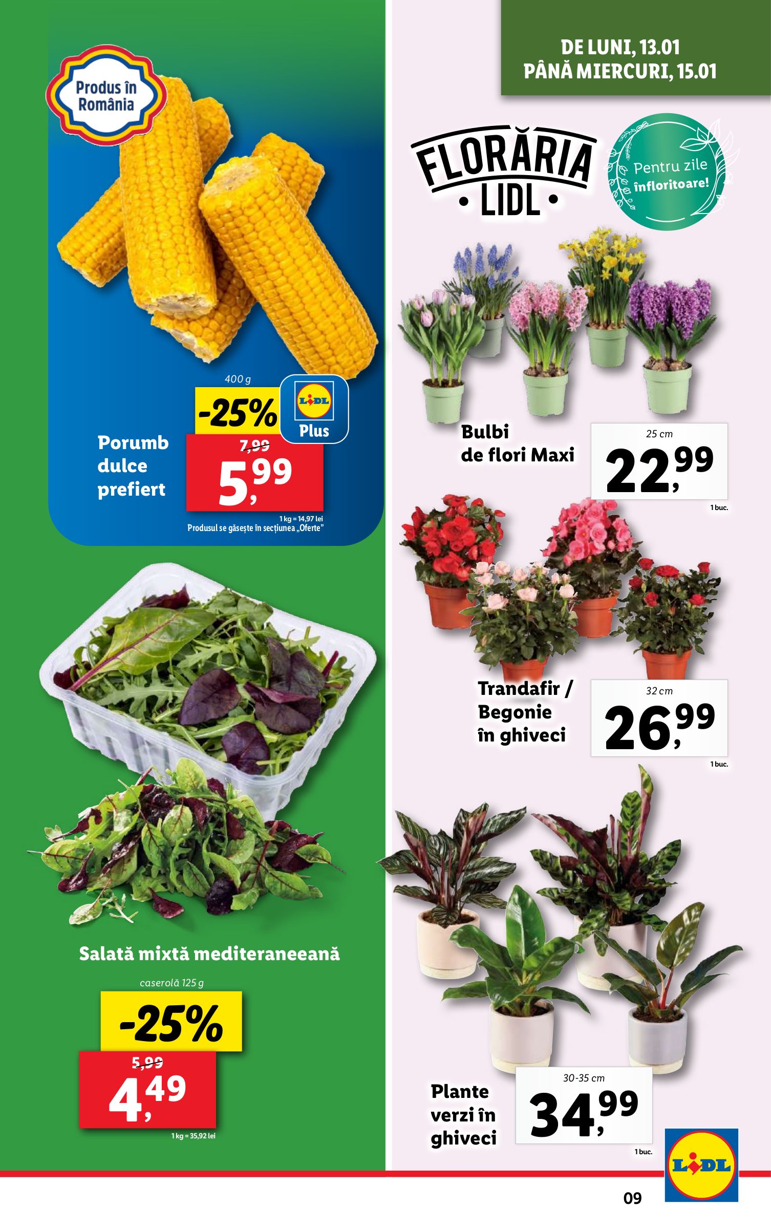 lidl - Catalog Lidl valabil din 13.01. - 19.01. - page: 9