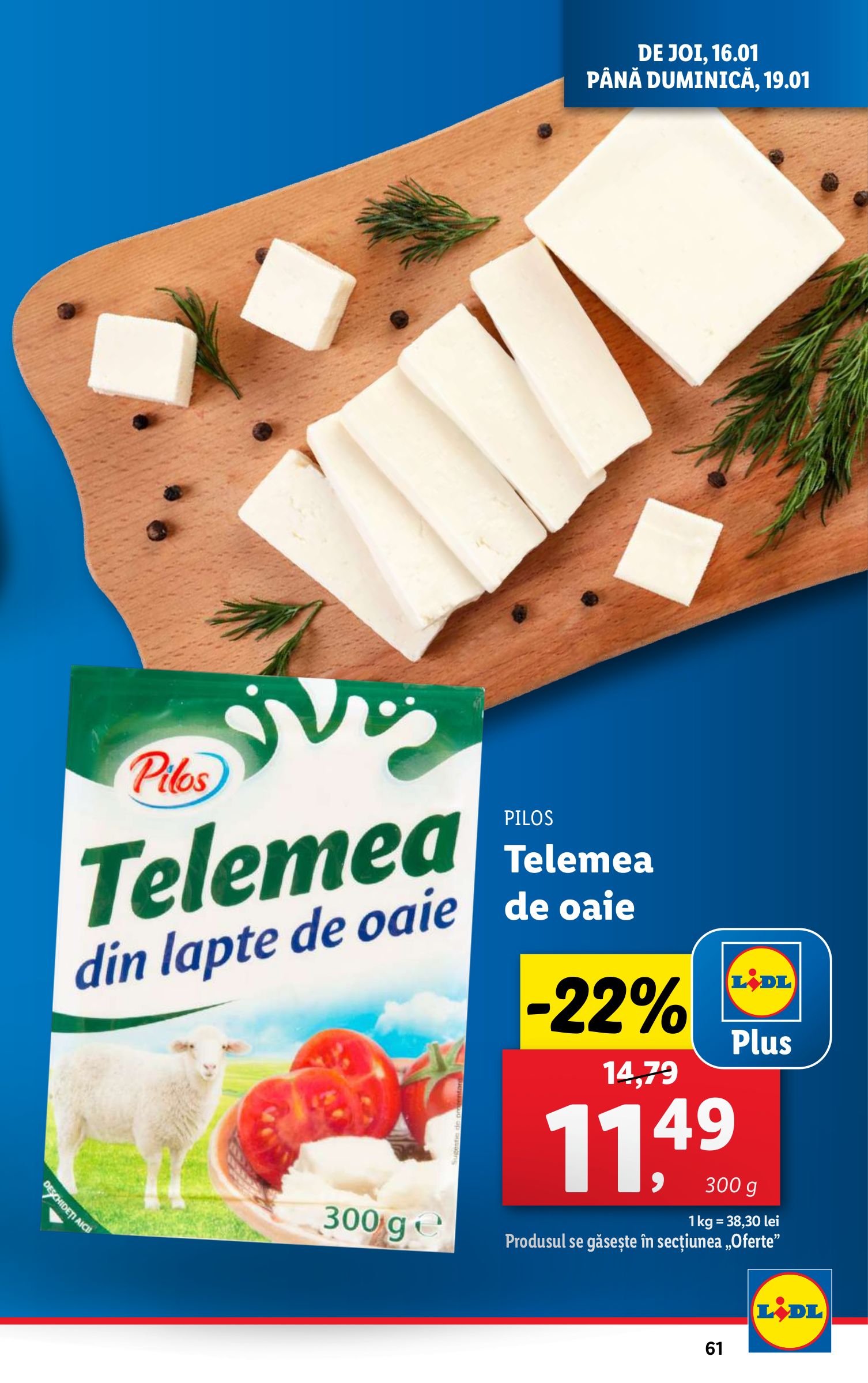 lidl - Catalog Lidl valabil din 13.01. - 19.01. - page: 61