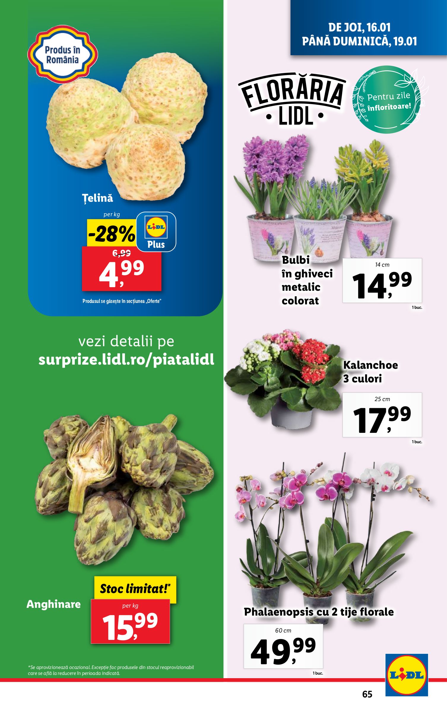 lidl - Catalog Lidl valabil din 13.01. - 19.01. - page: 65