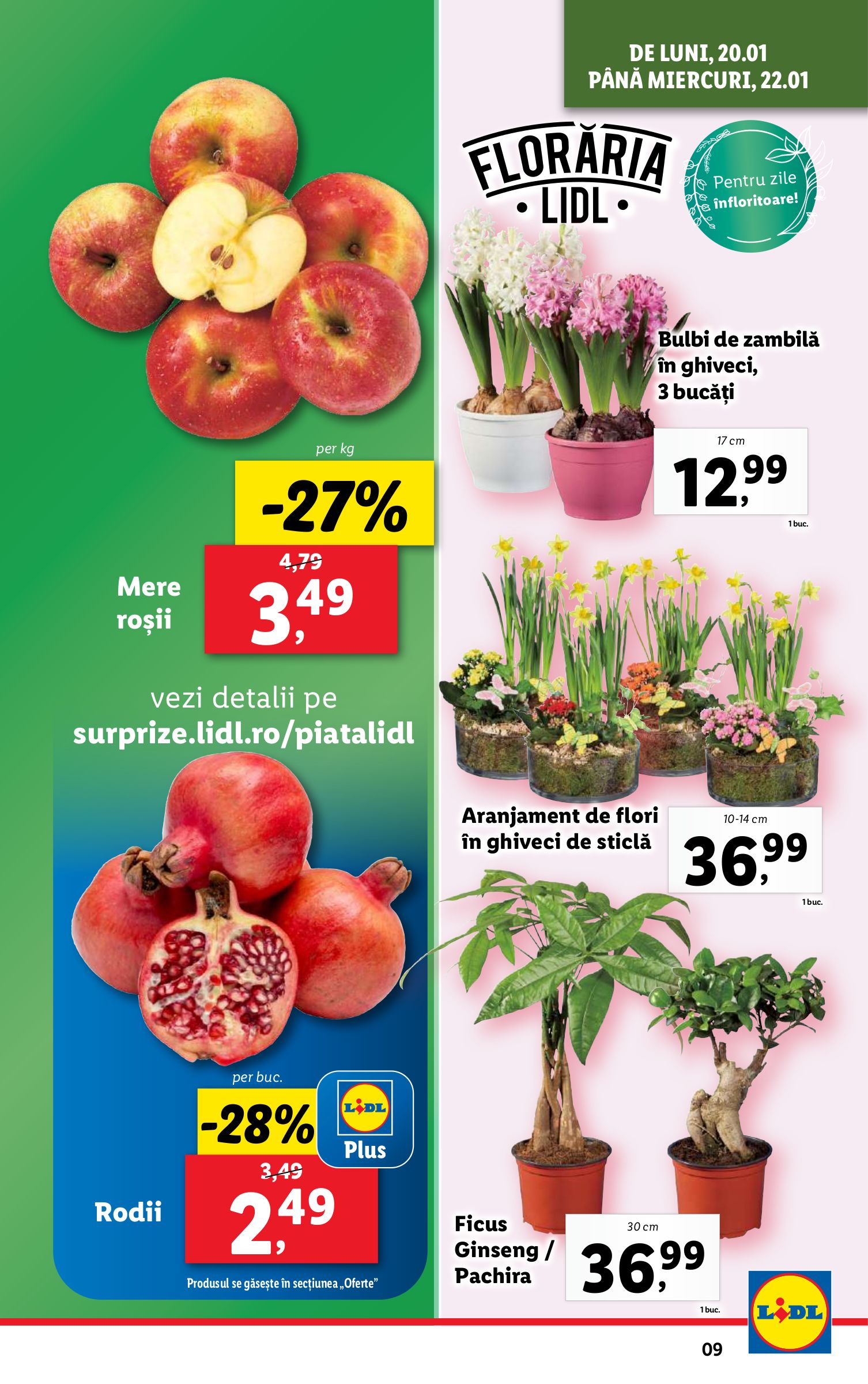 lidl - Catalog Lidl valabil din 20.01. - 26.01. - page: 9