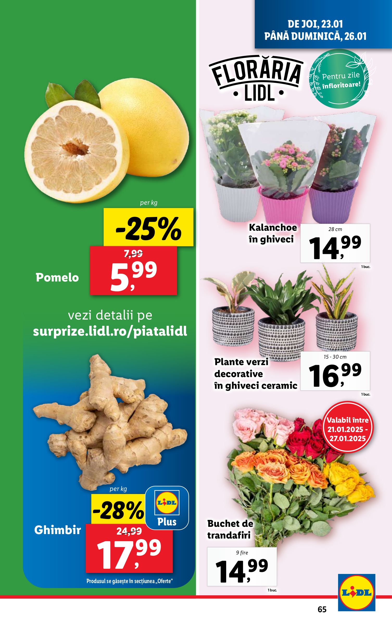 lidl - Catalog Lidl valabil din 20.01. - 26.01. - page: 65