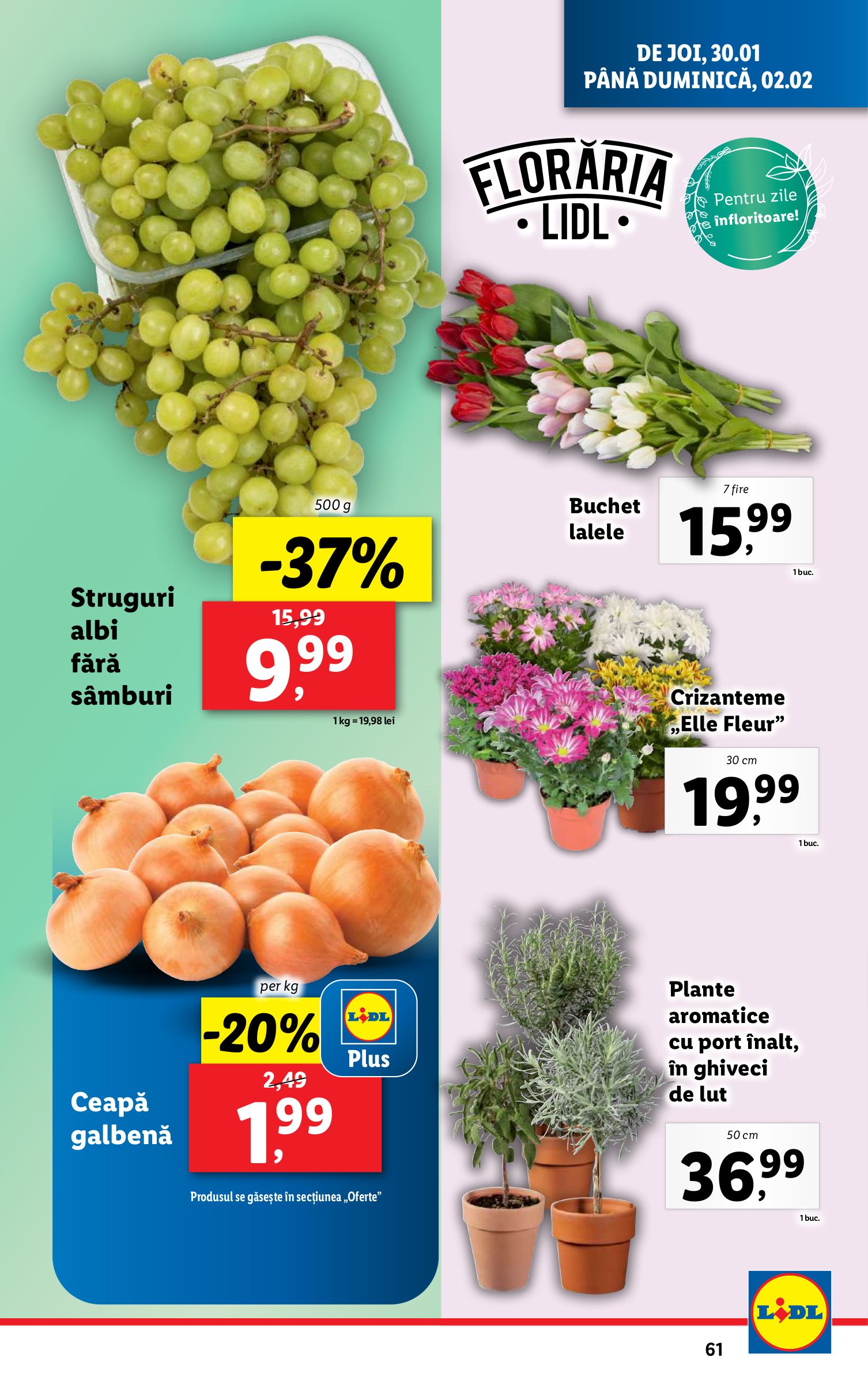 lidl - Catalog Lidl valabil din 27.01. - 02.02. - page: 61