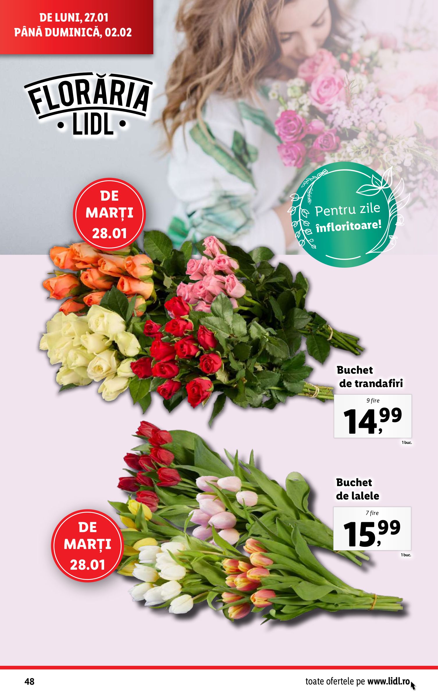 lidl - Catalog Lidl valabil din 27.01. - 02.02. - page: 48