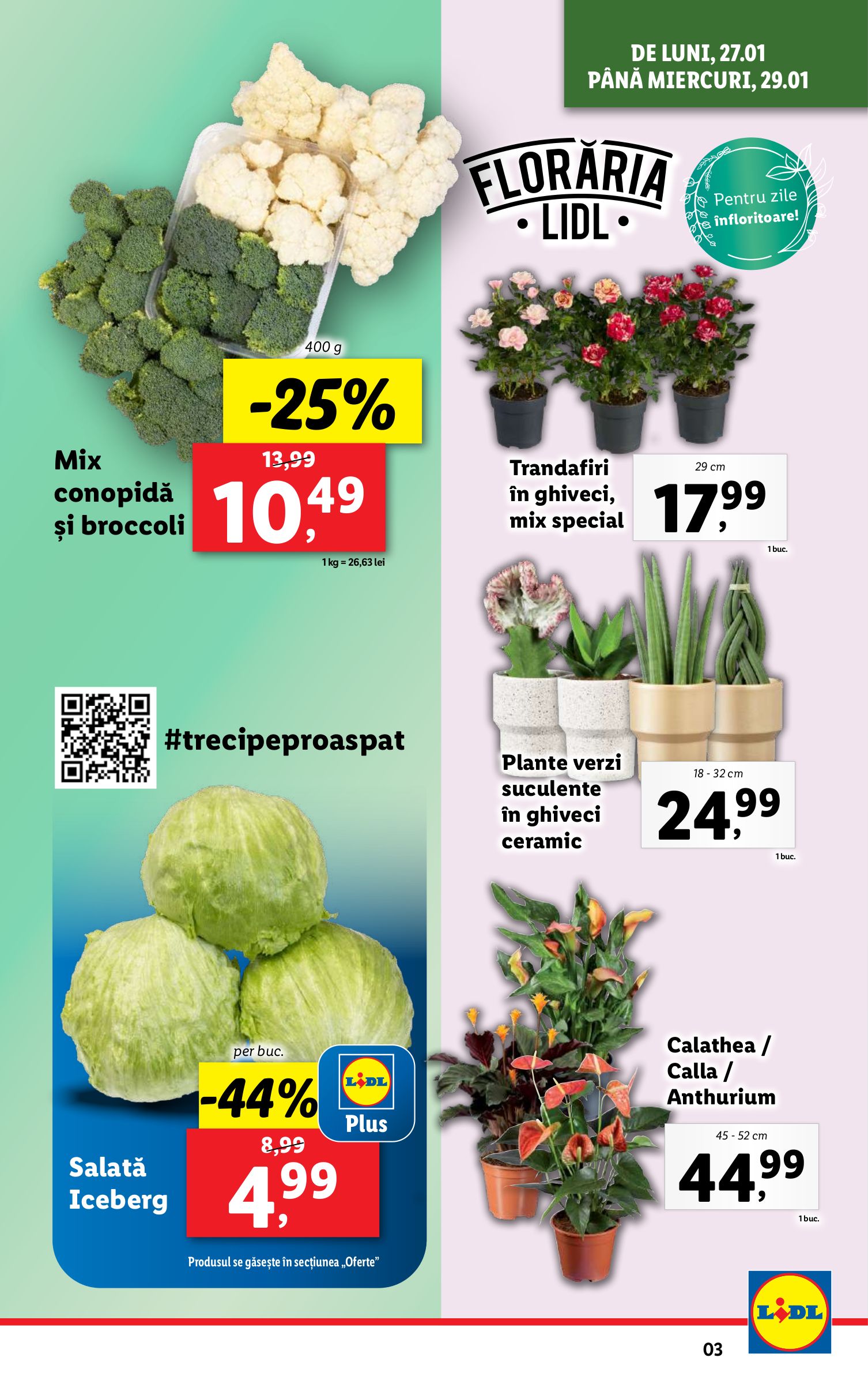 lidl - Catalog Lidl valabil din 27.01. - 02.02. - page: 3