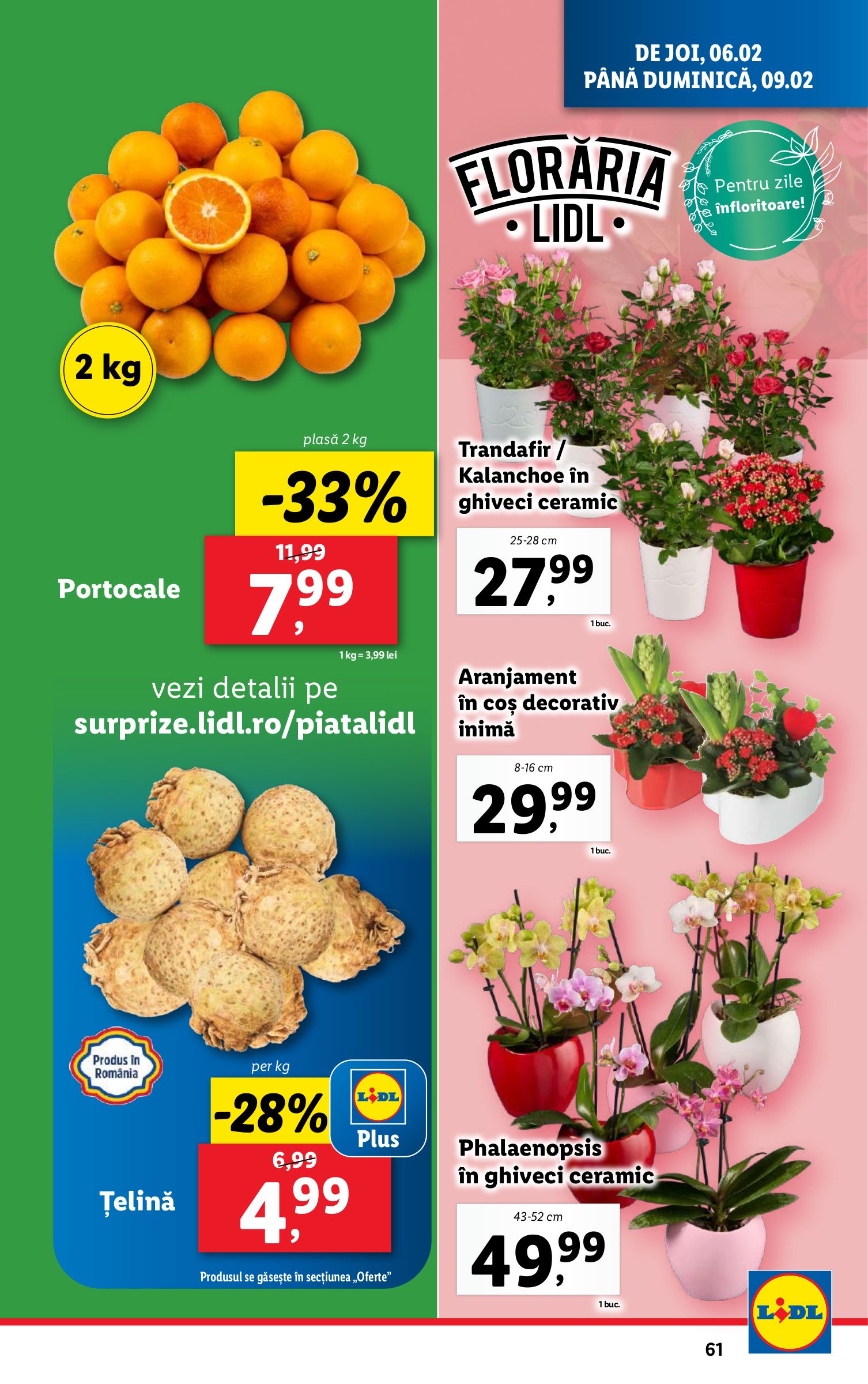 lidl - Catalog Lidl valabil din 03.02. - 09.02. - page: 61