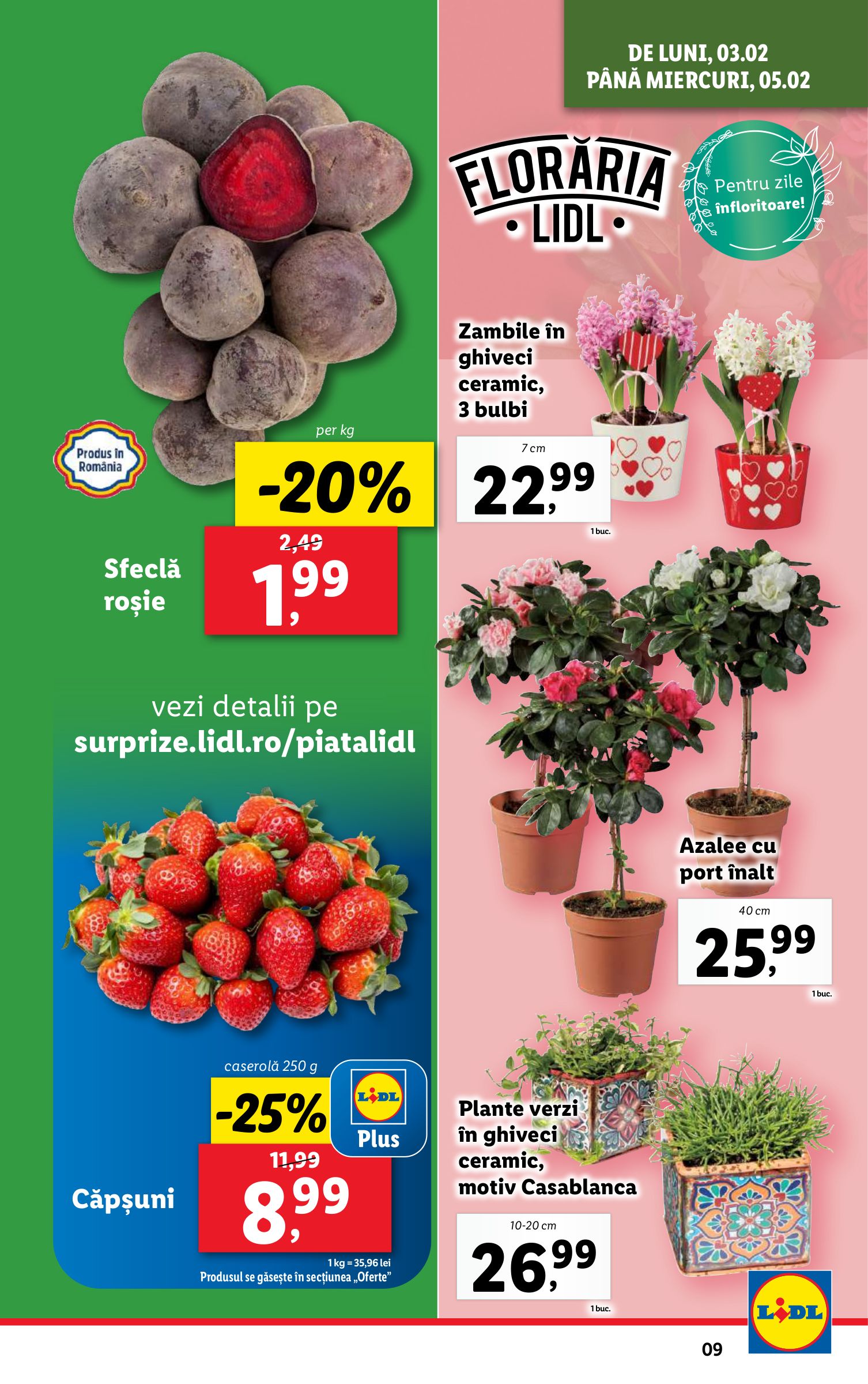 lidl - Catalog Lidl valabil din 03.02. - 09.02. - page: 9