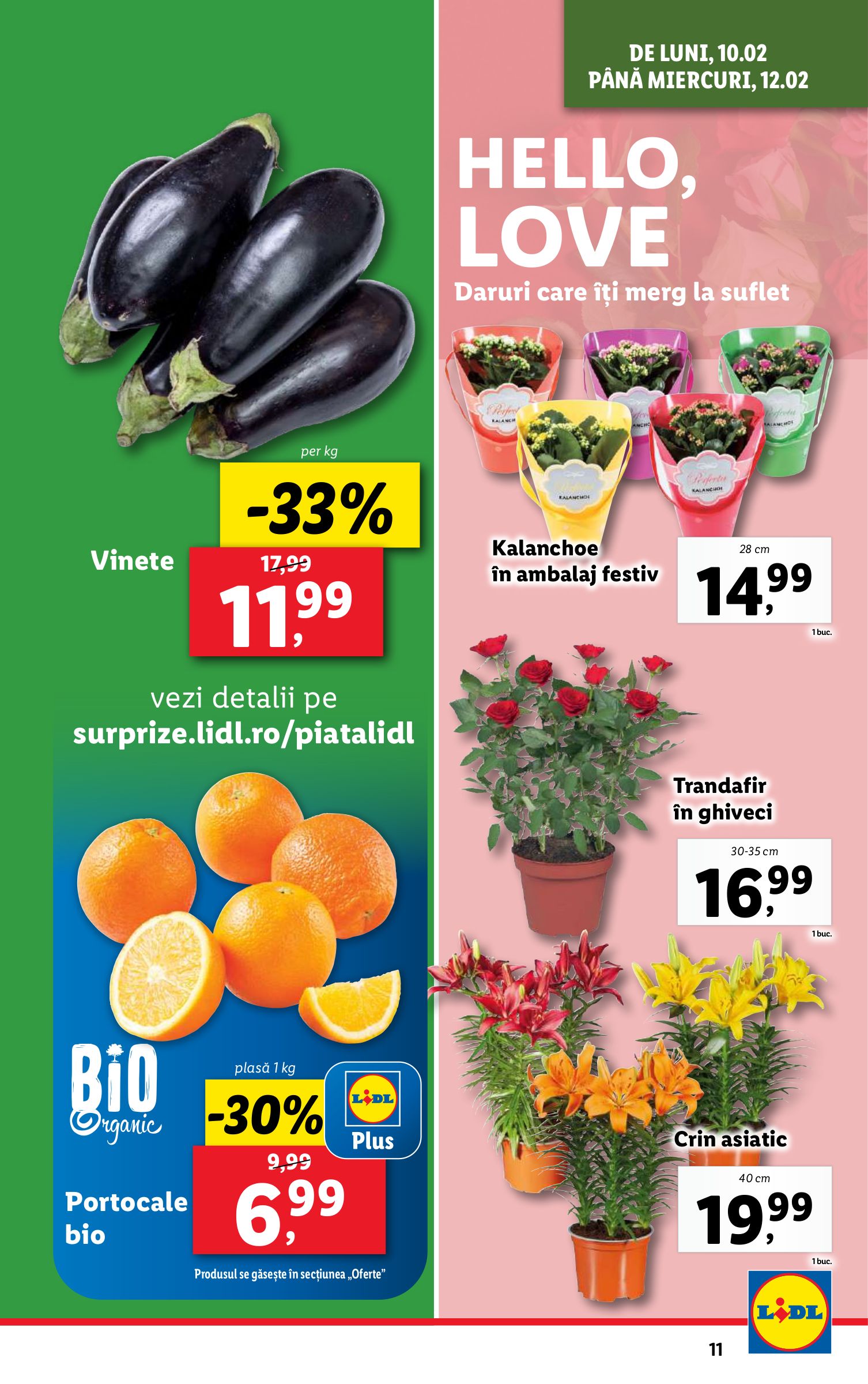 lidl - Catalog Lidl valabil din 10.02. - 16.02. - page: 11