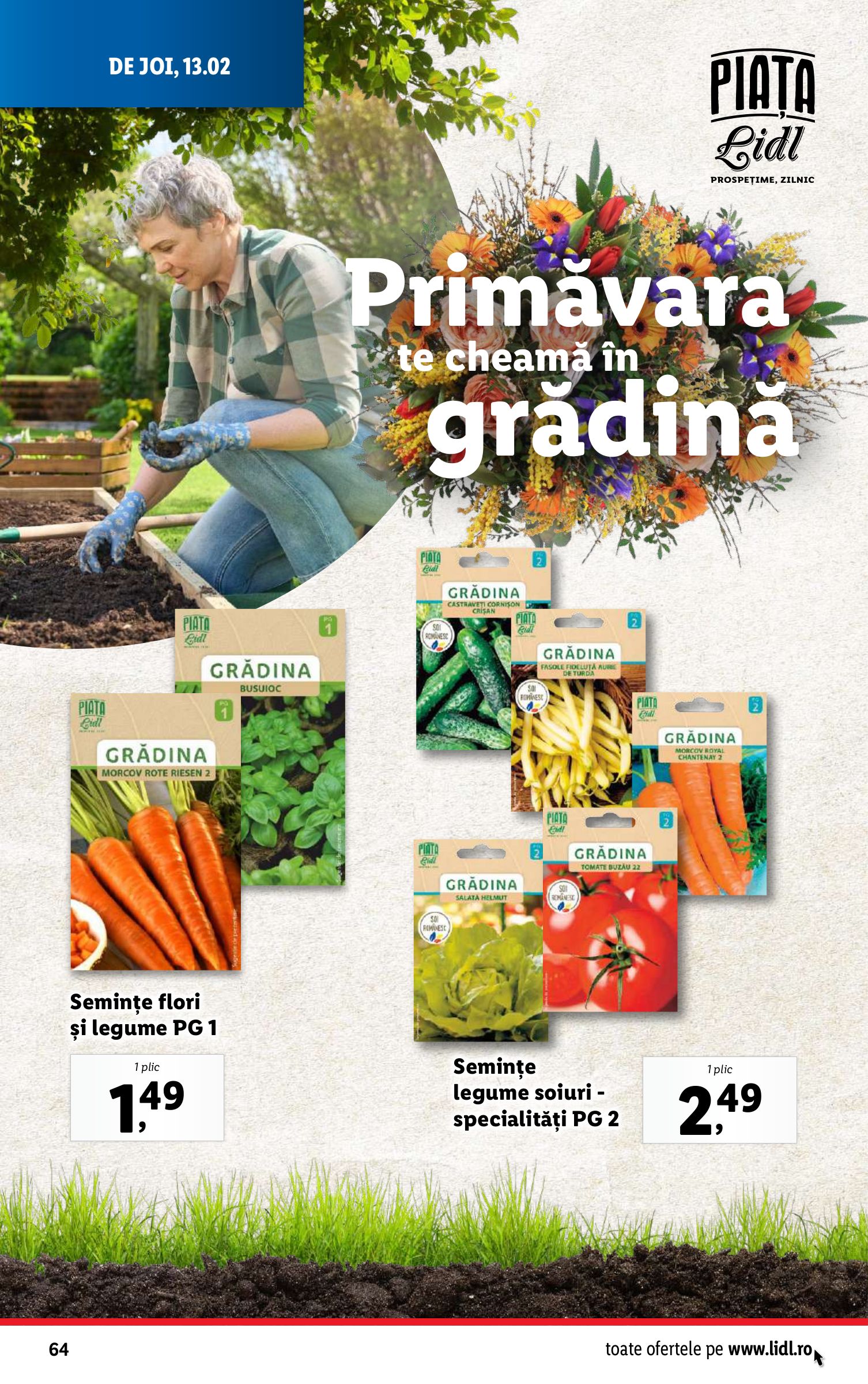 lidl - Catalog Lidl valabil din 10.02. - 16.02. - page: 64