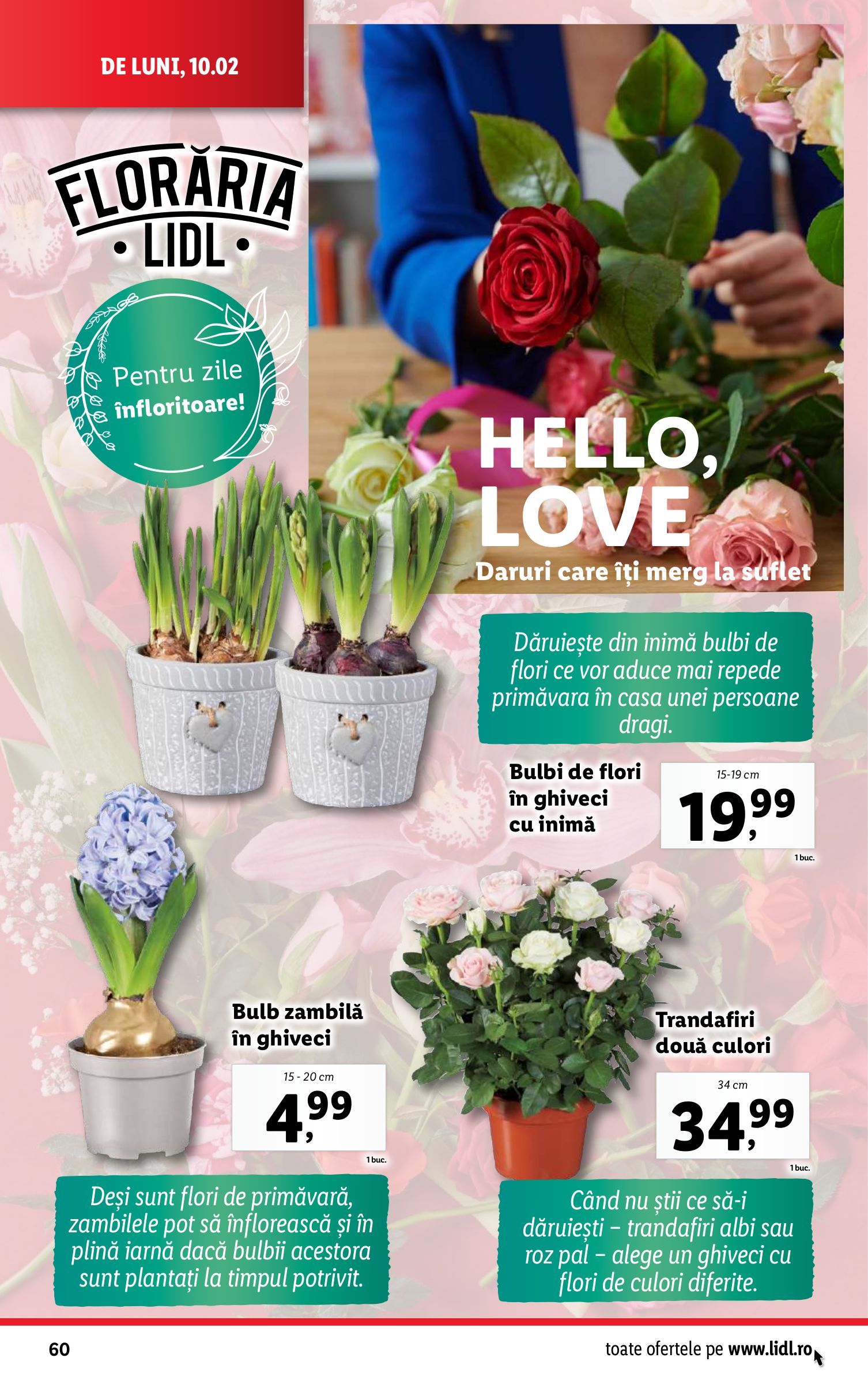 lidl - Catalog Lidl valabil din 10.02. - 16.02. - page: 60