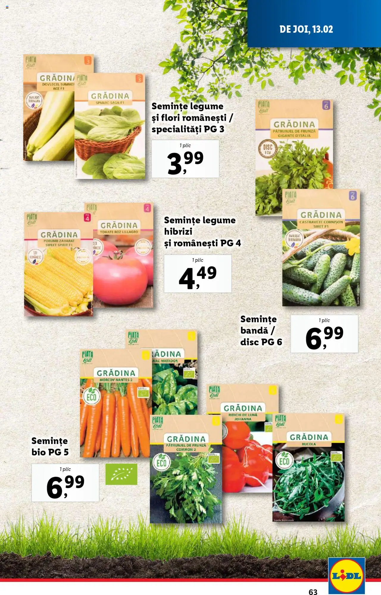 lidl - Catalog LIDL 10.02.2025 - 16.02.2025 - page: 63