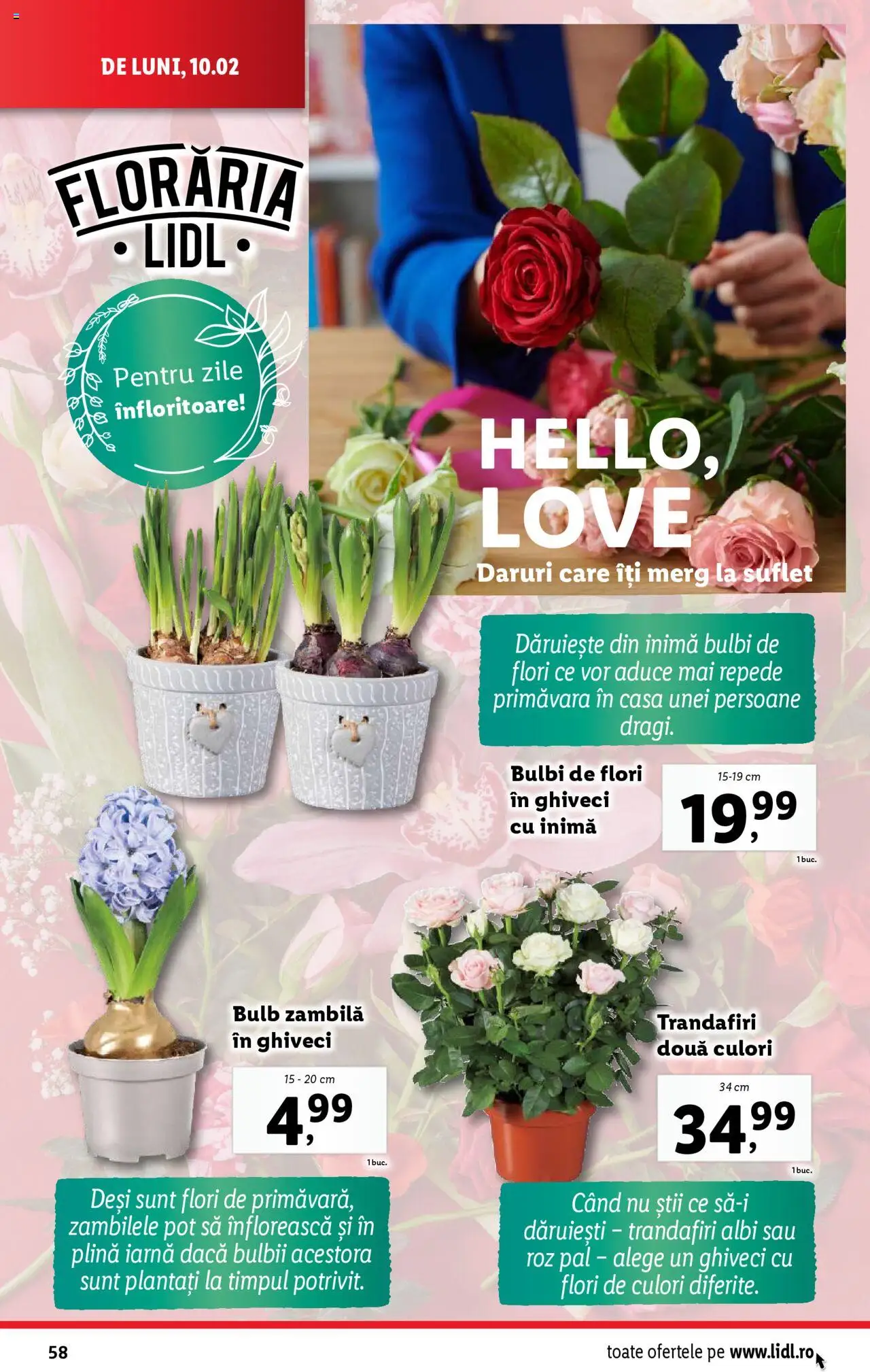 lidl - Catalog LIDL 10.02.2025 - 16.02.2025 - page: 58