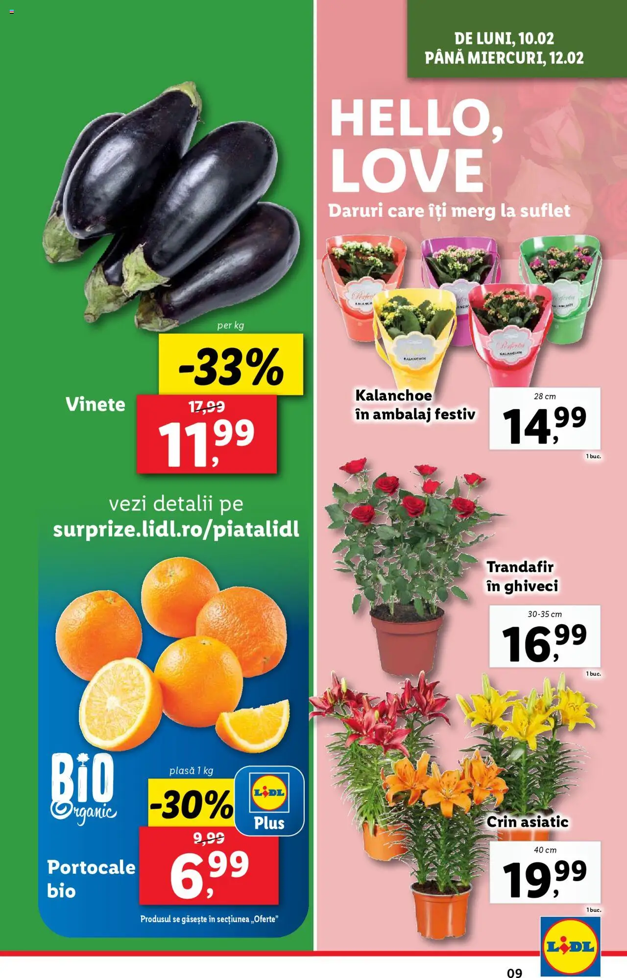 lidl - Catalog LIDL 10.02.2025 - 16.02.2025 - page: 9