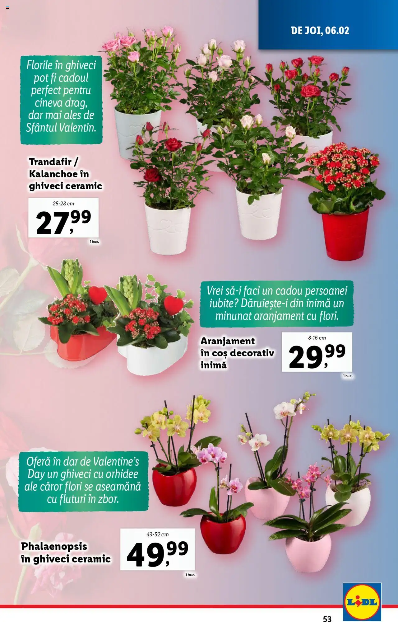 lidl - Catalog LIDL 03.02.2025 - 09.02.2025 - page: 53