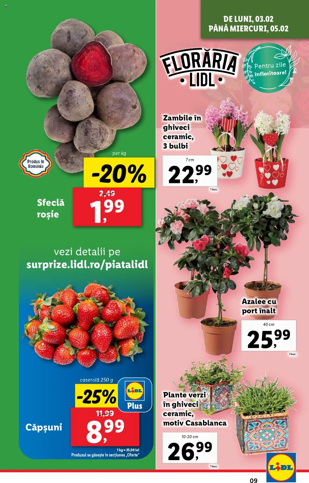 lidl - Catalog LIDL 03.02.2025 - 09.02.2025 - page: 9