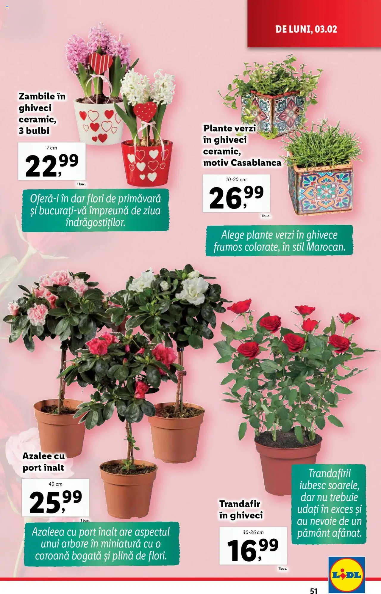 lidl - Catalog LIDL 03.02.2025 - 09.02.2025 - page: 51